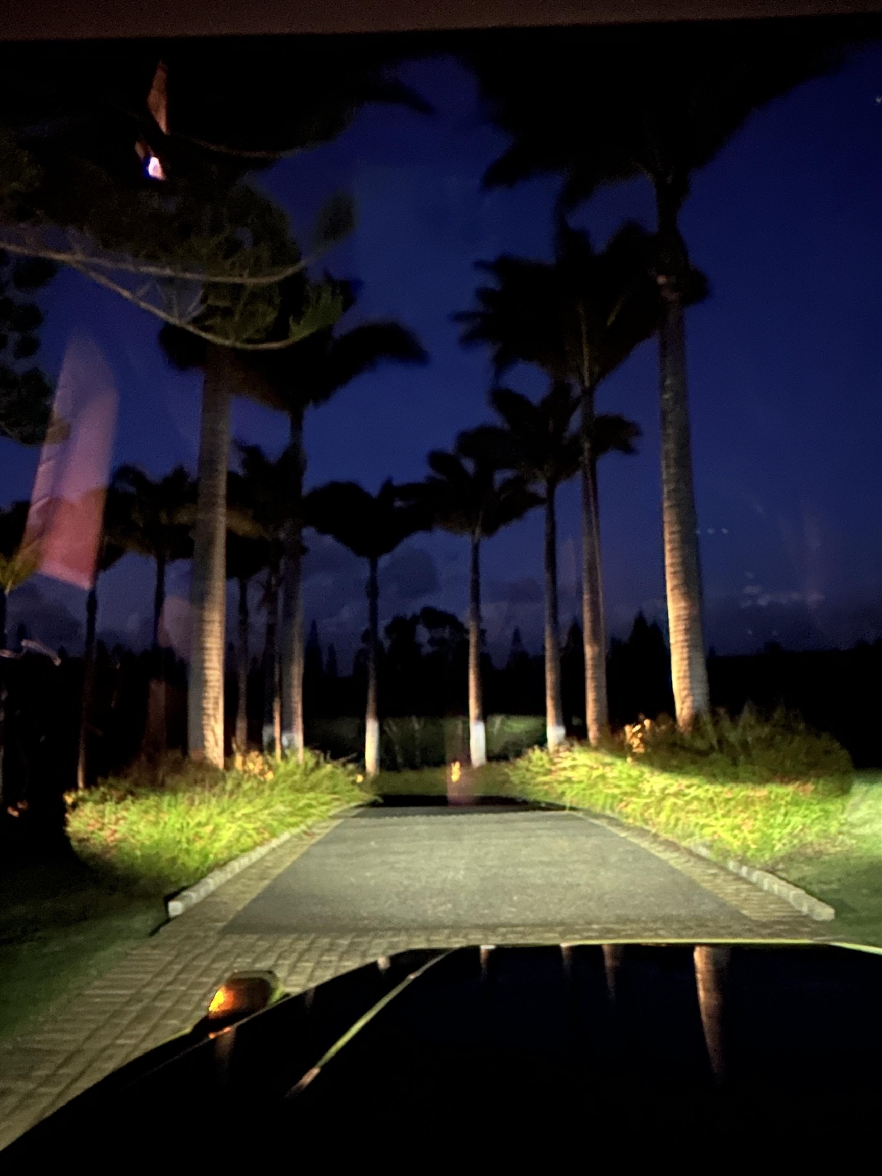 215 Plantation Club Dr