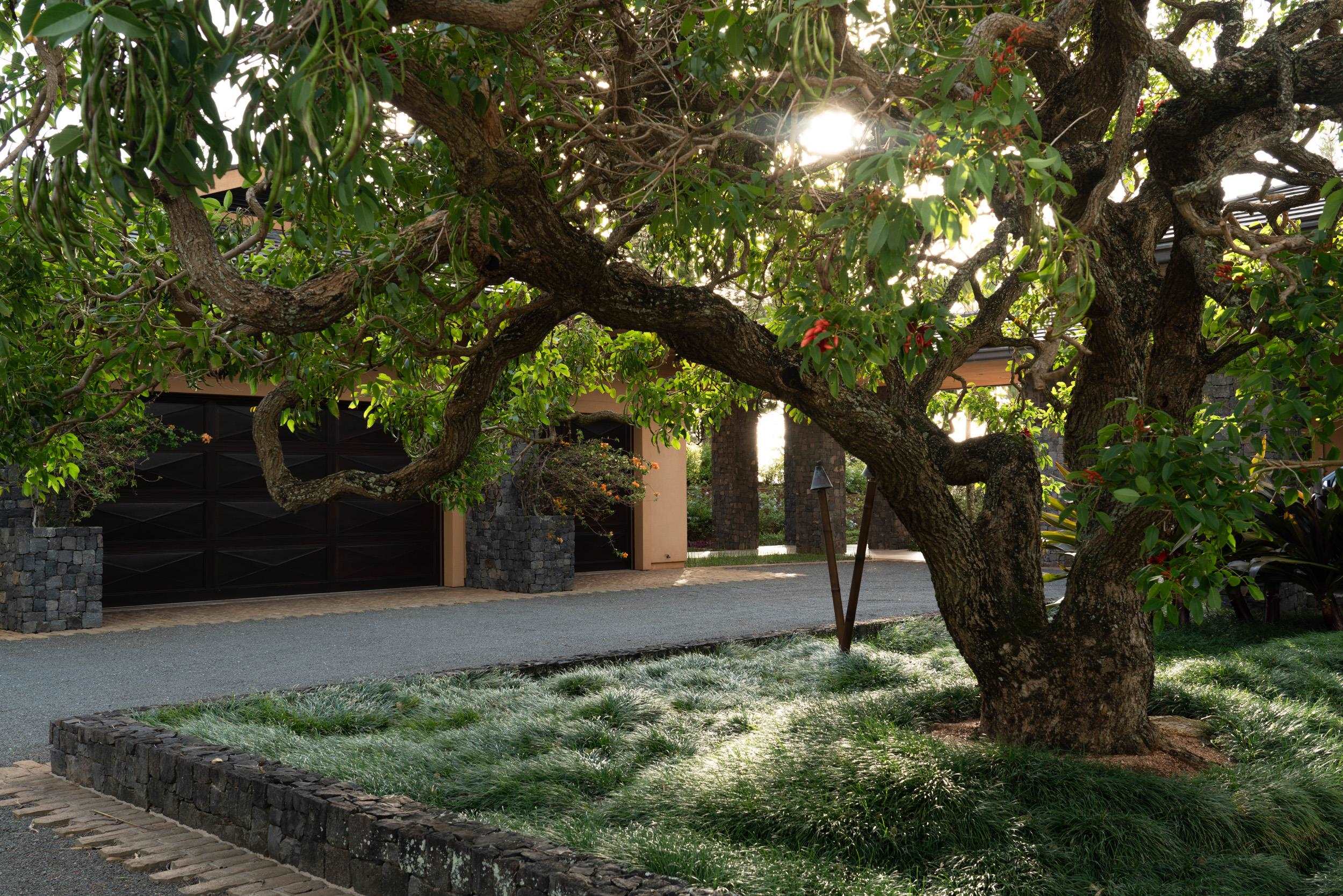 215 Plantation Club Dr