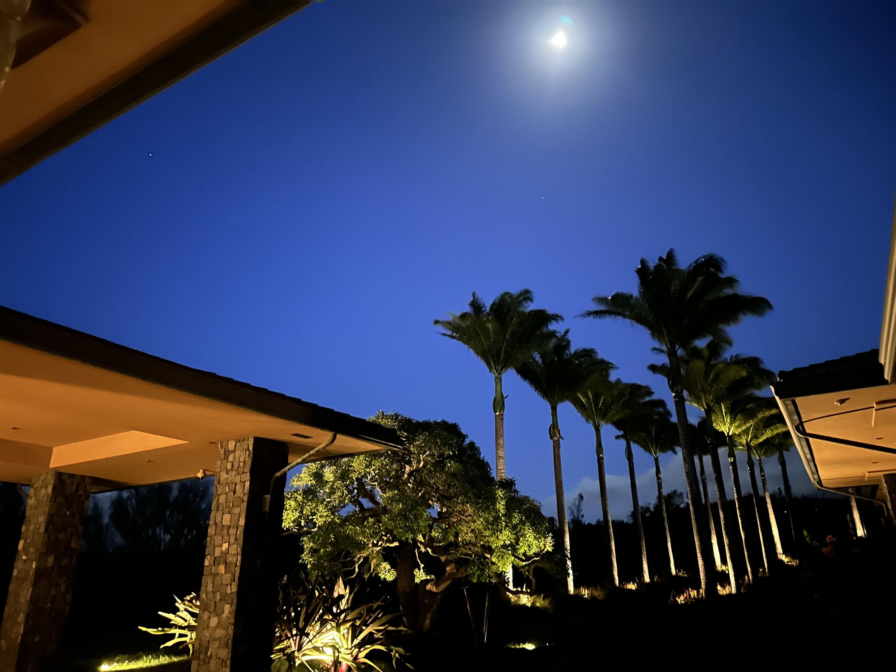 215 Plantation Club Dr