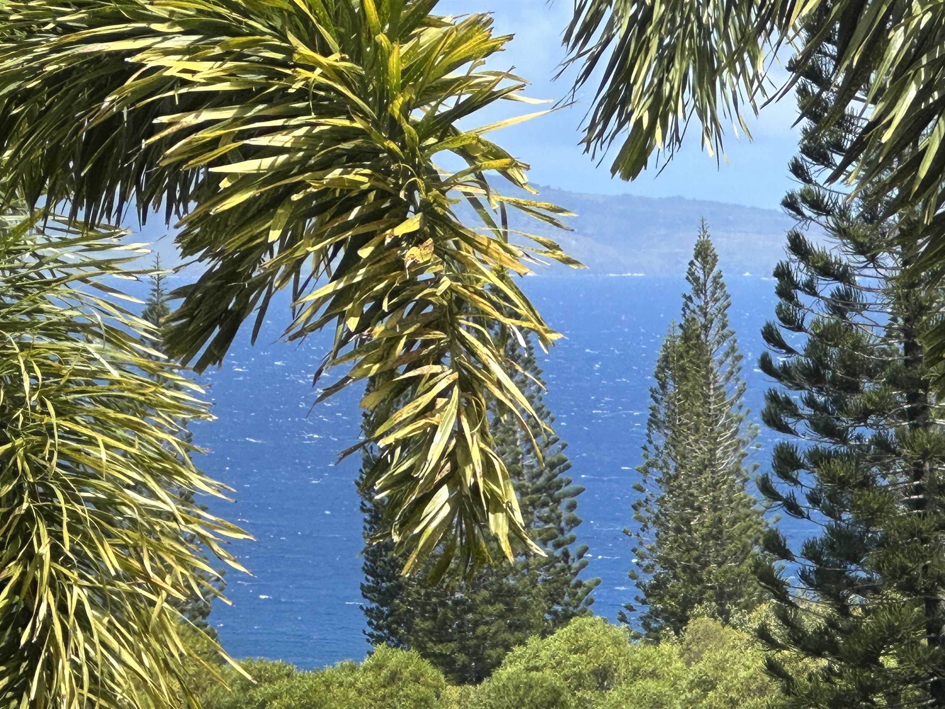 215 Plantation Club Dr