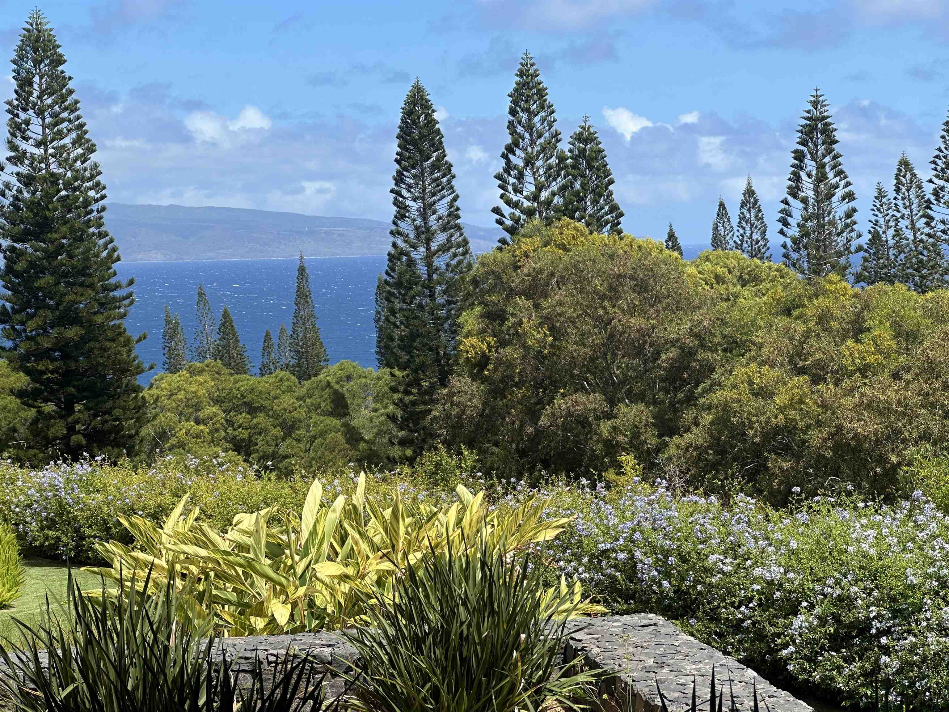 215 Plantation Club Dr