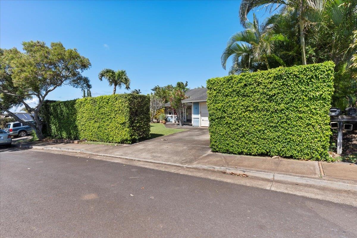 81 Lae St