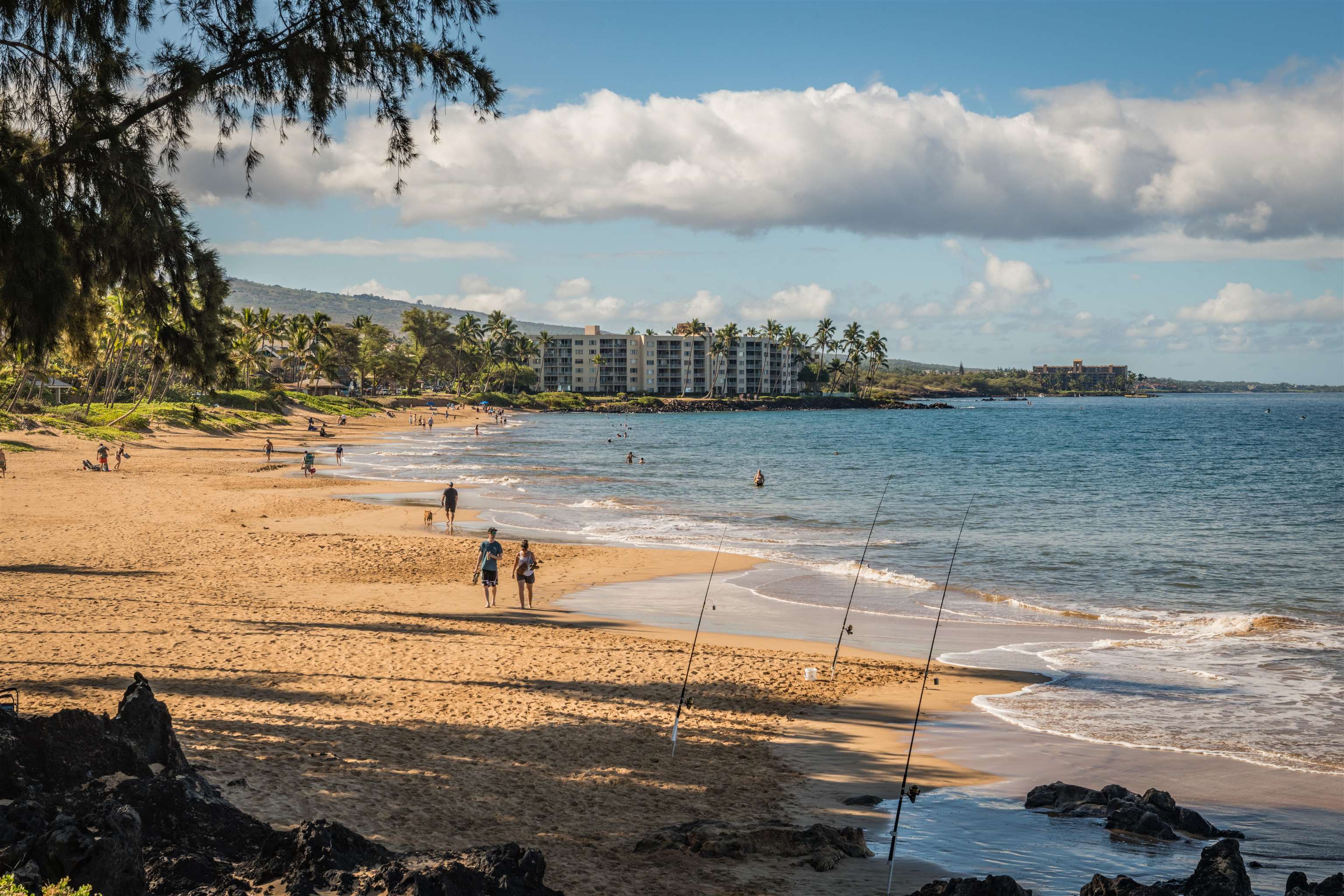 2181 Ili'ili Rd Unit: 202
