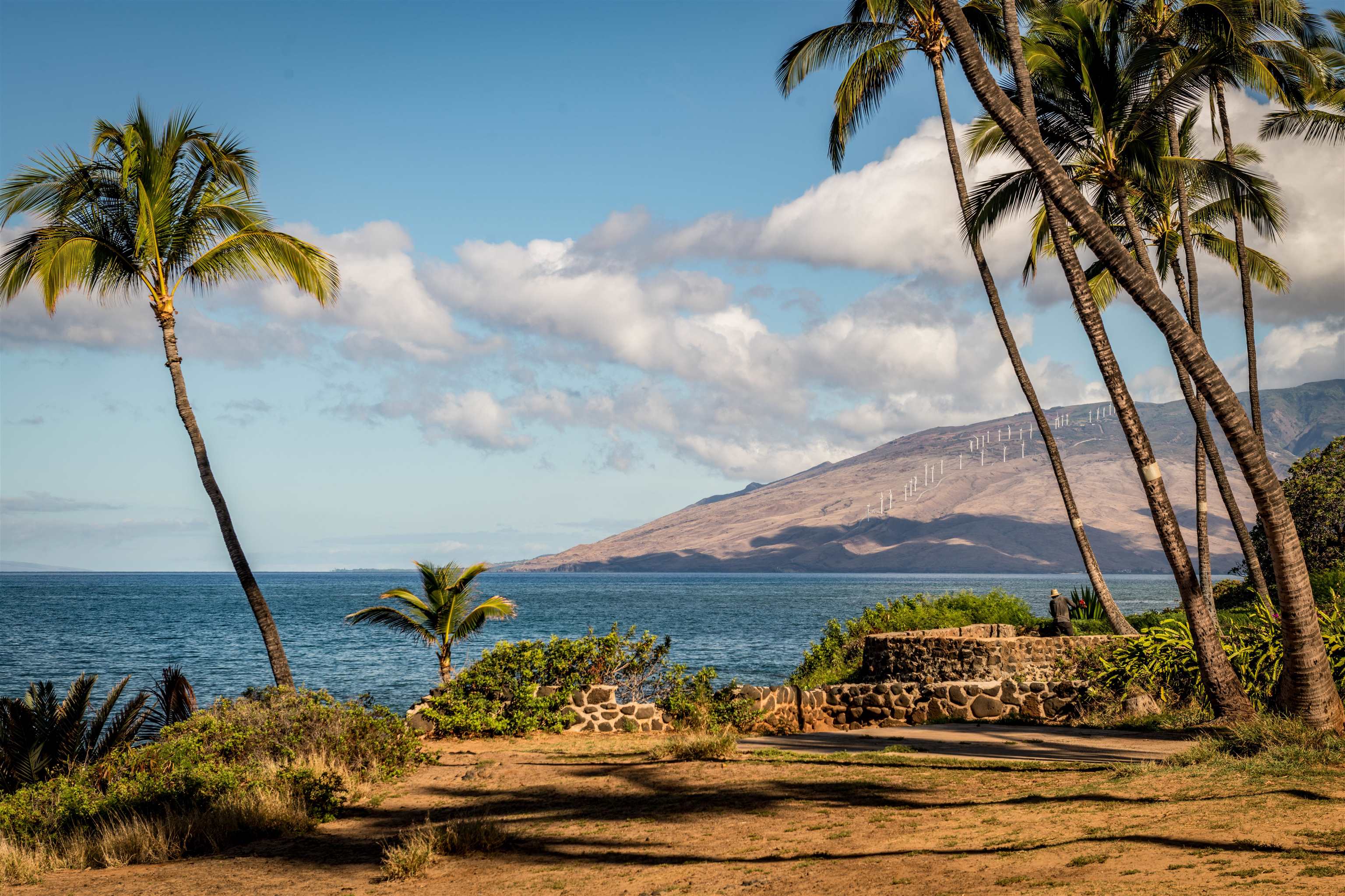 2181 Iliili Rd Unit: 202