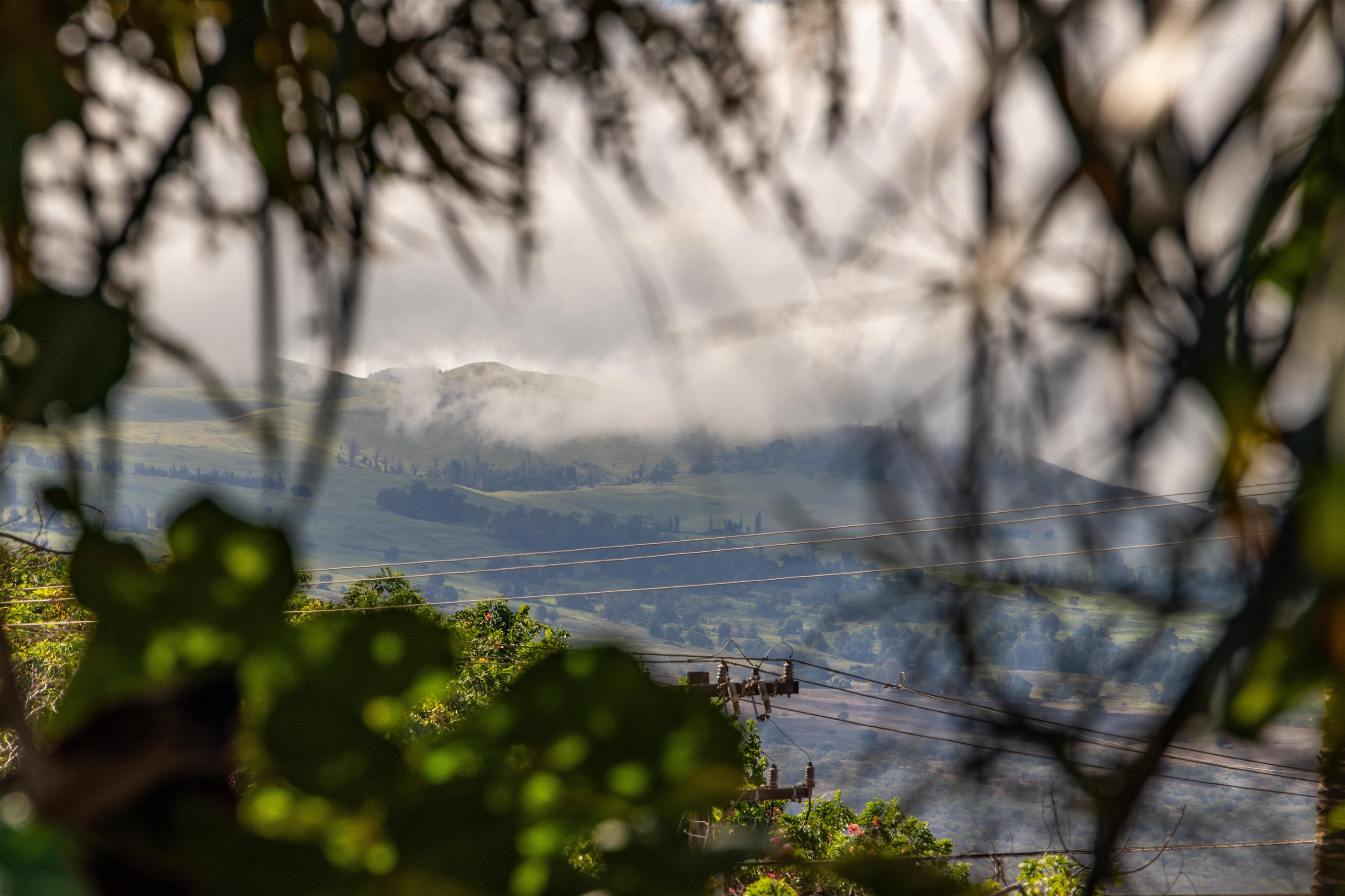 2181 Iliili Rd Unit: 202