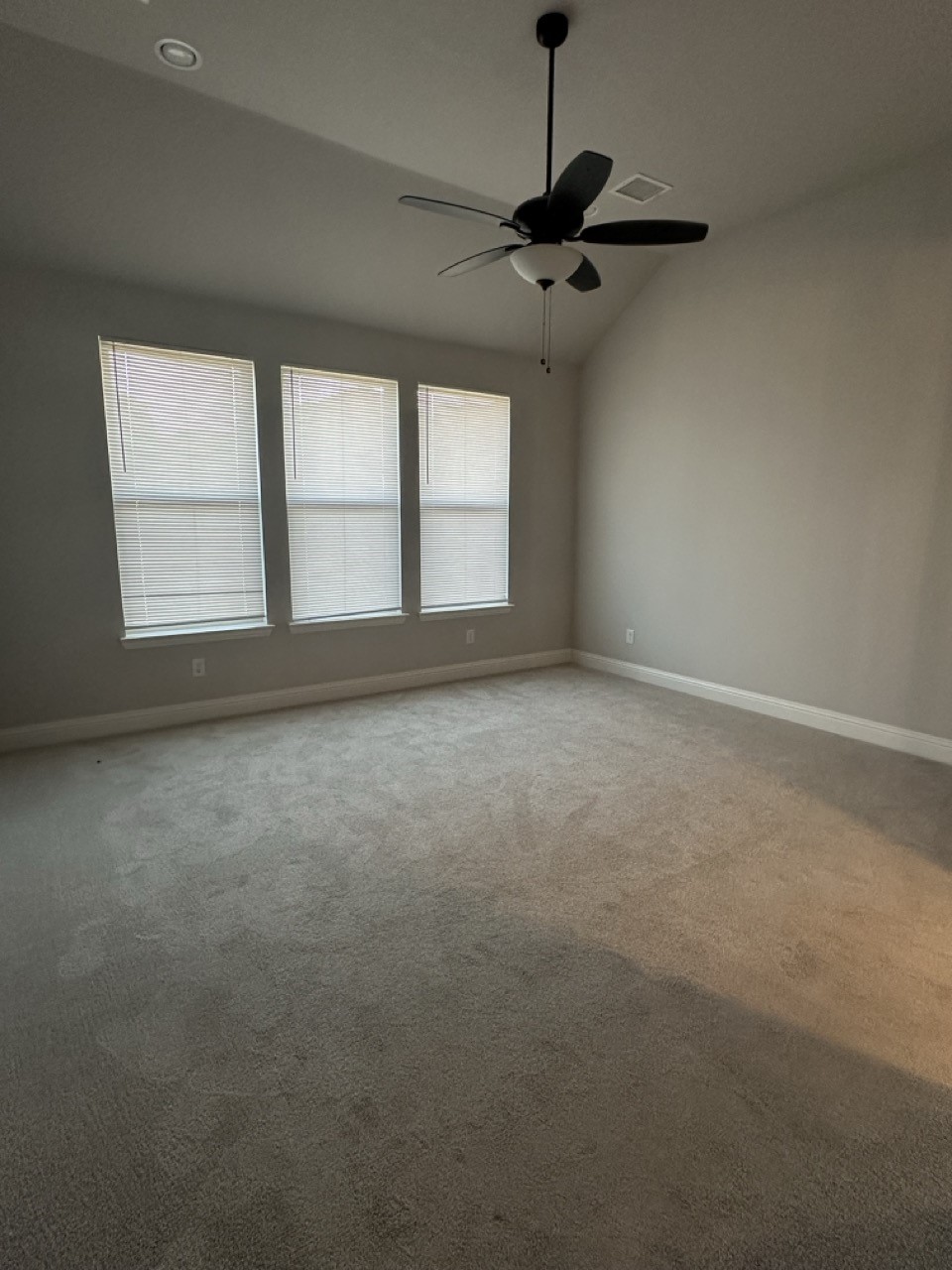 3503 Clara Drive
