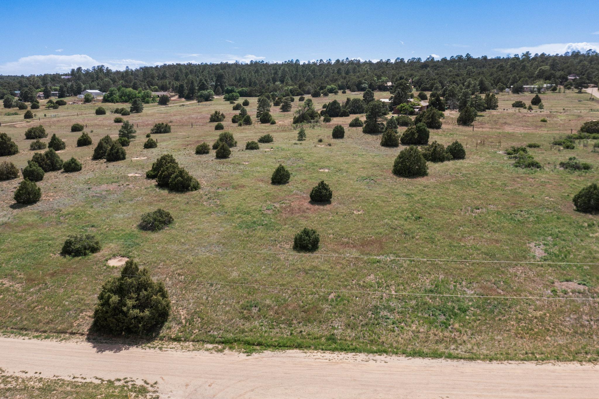 25 MOCKINGBIRD HILL Road