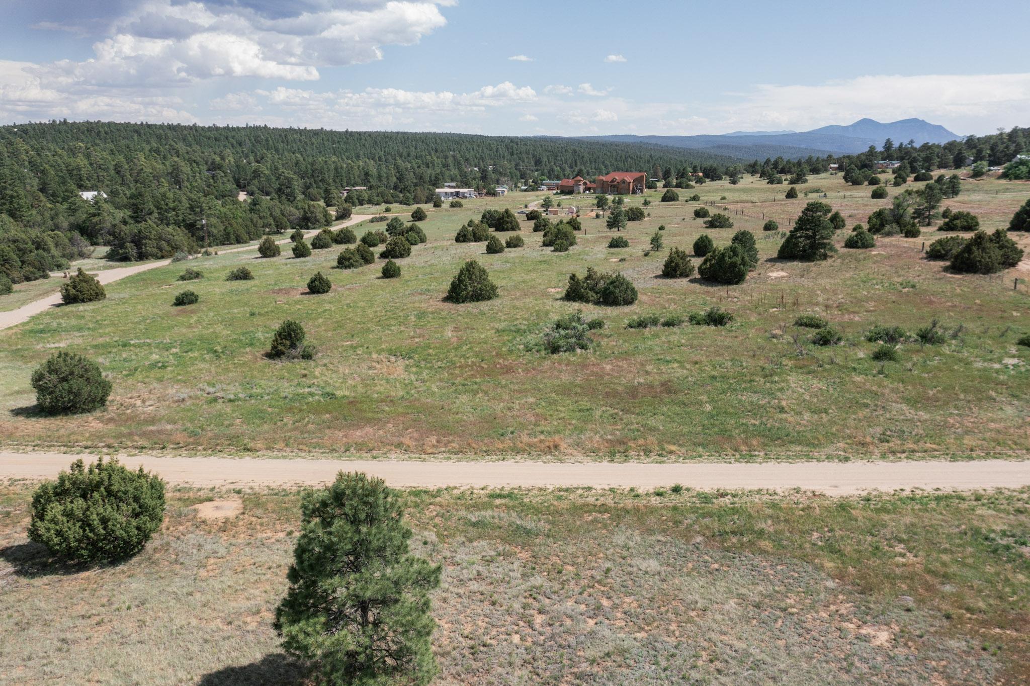 25 MOCKINGBIRD HILL Road