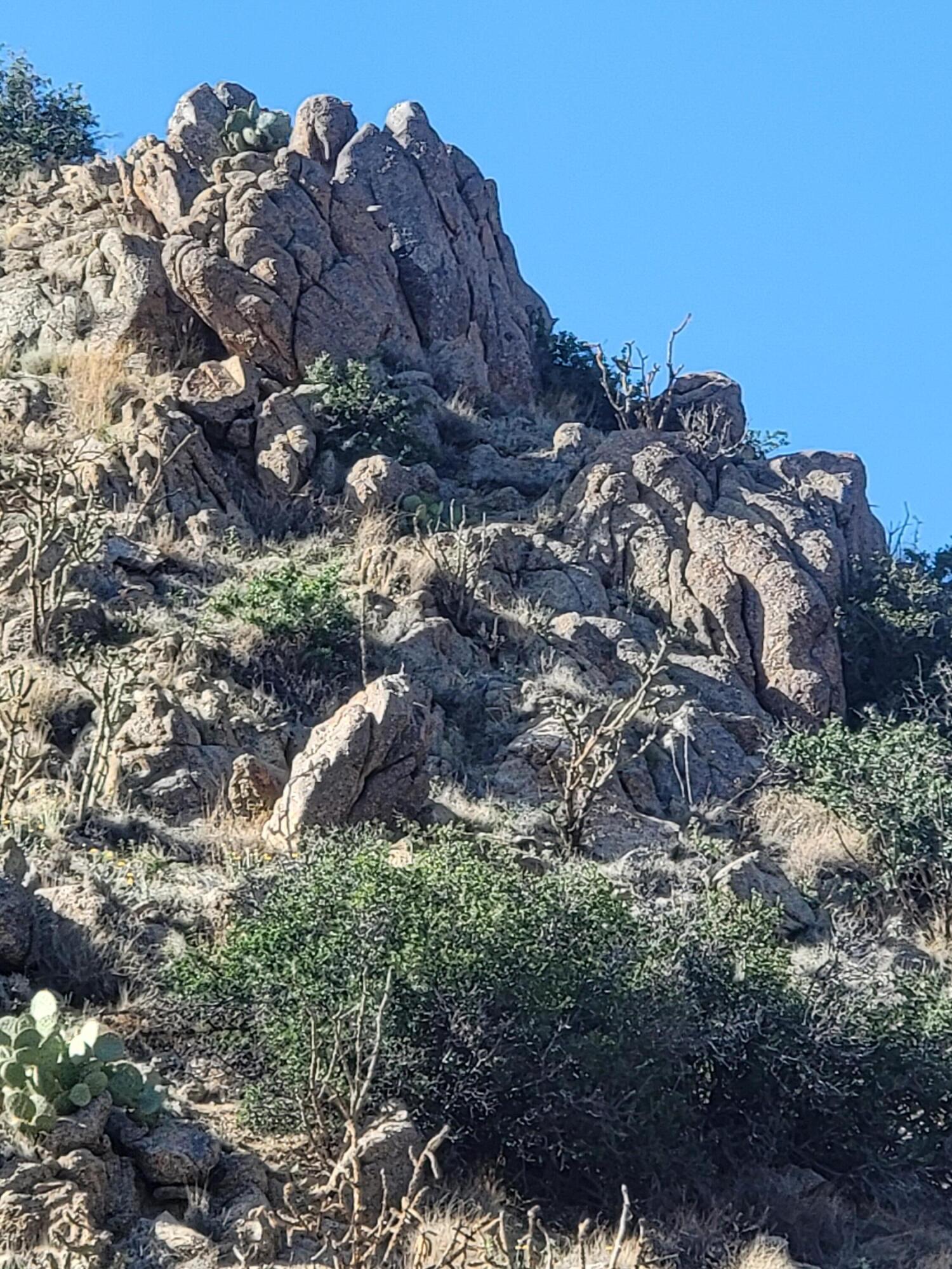 1215/1217 HIDEAWAY Lane SE