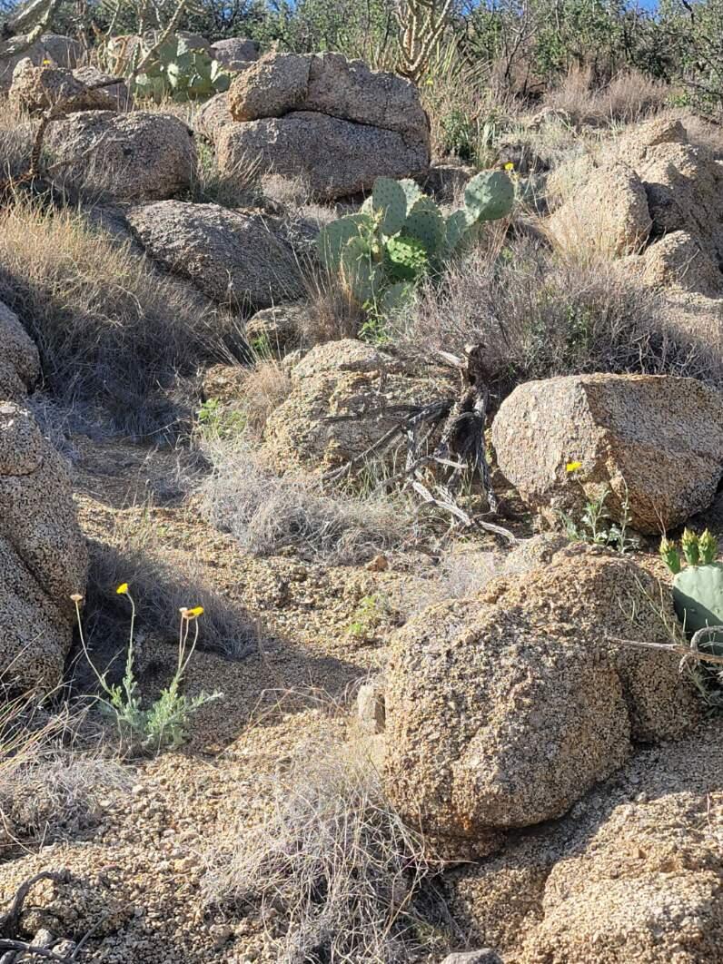 1215/1217 HIDEAWAY Lane SE