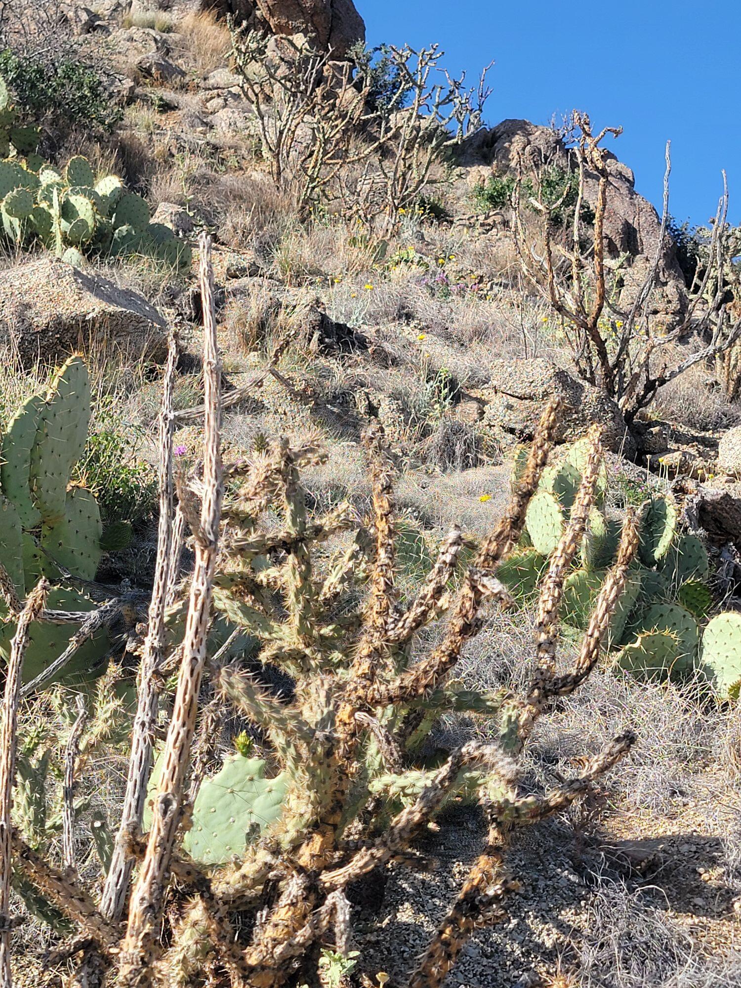 1215/1217 HIDEAWAY Lane SE