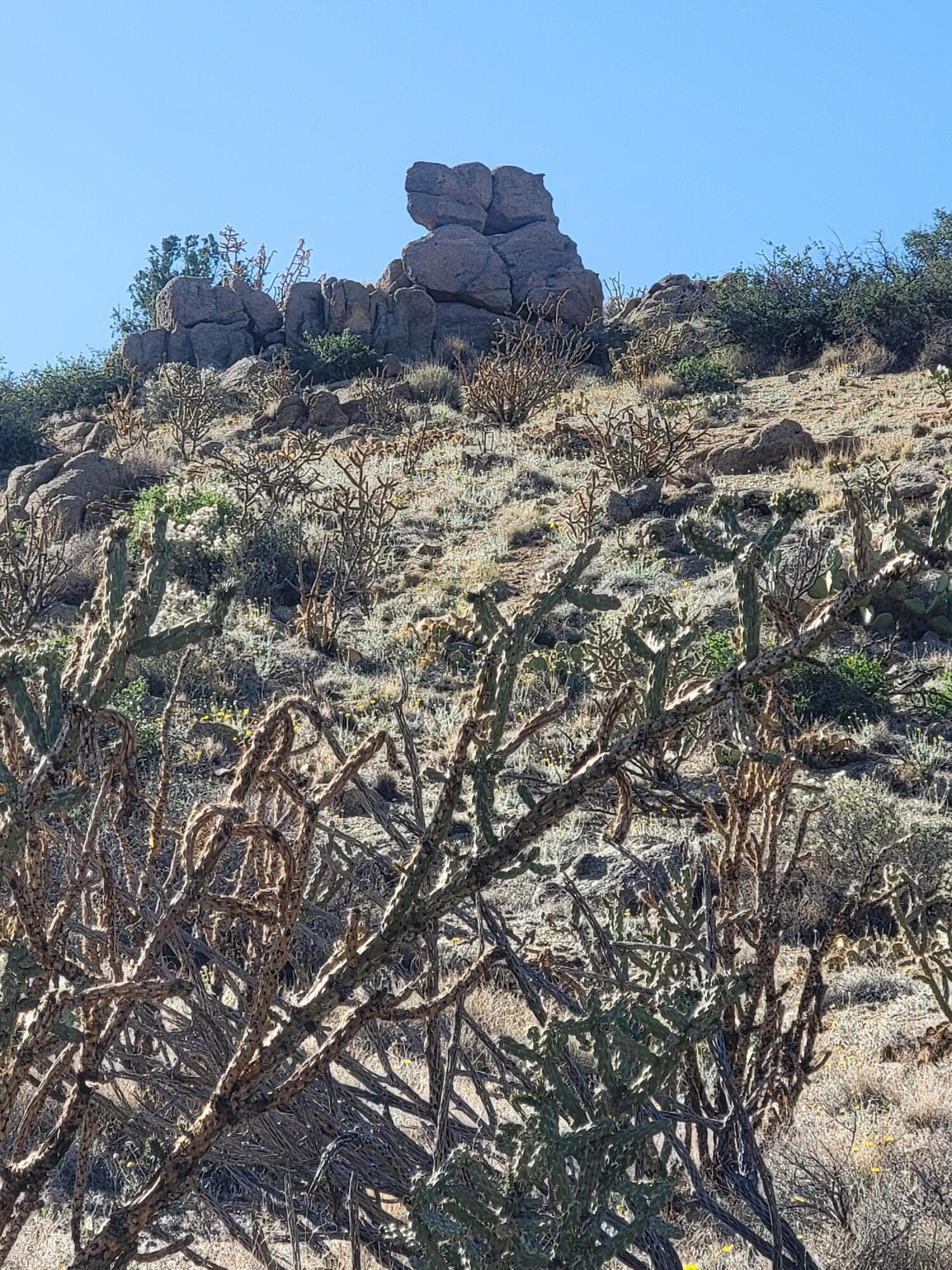 1215/1217 HIDEAWAY Lane SE