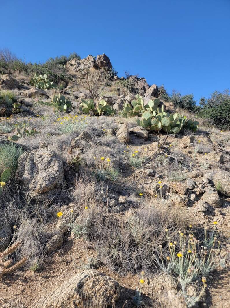 1215/1217 HIDEAWAY Lane SE