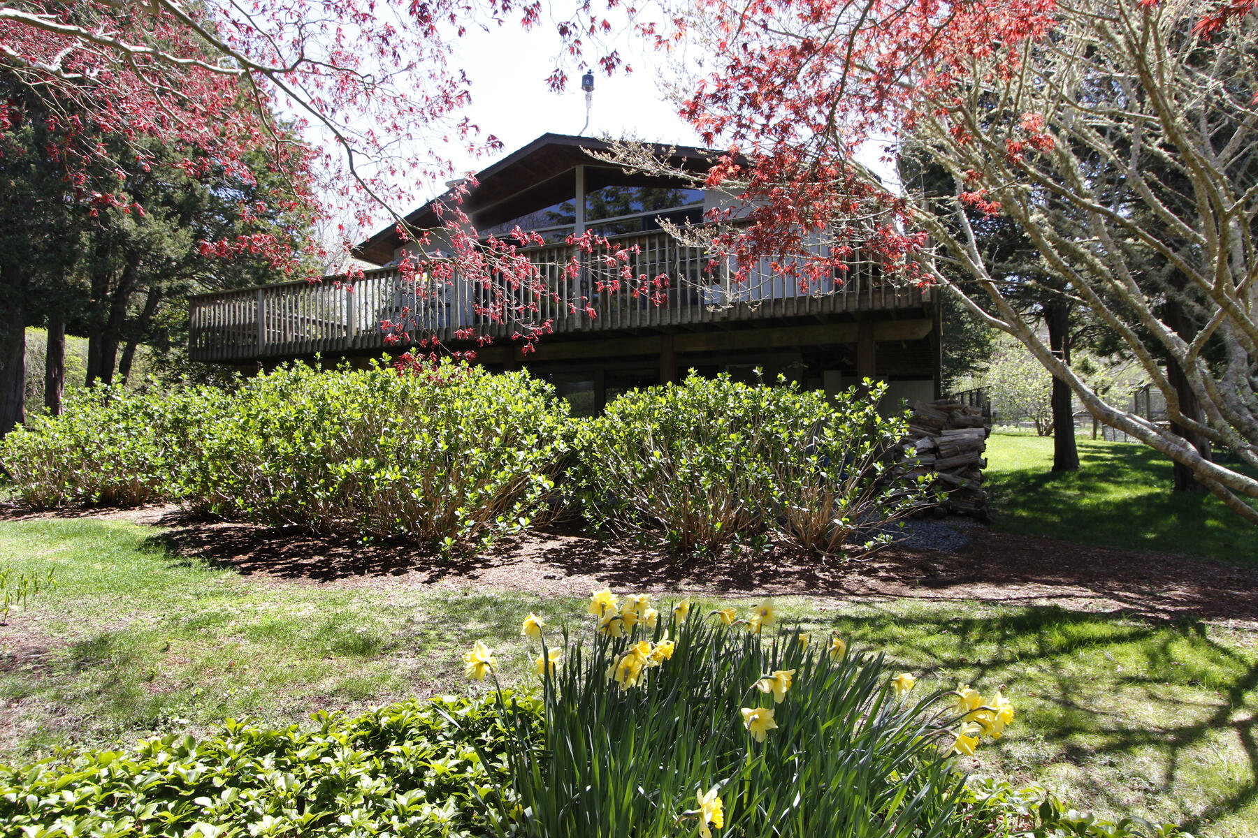 61 Beaver Road