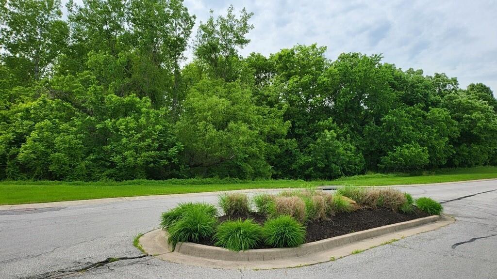 Lot 32 TBD Horseshoe Lane