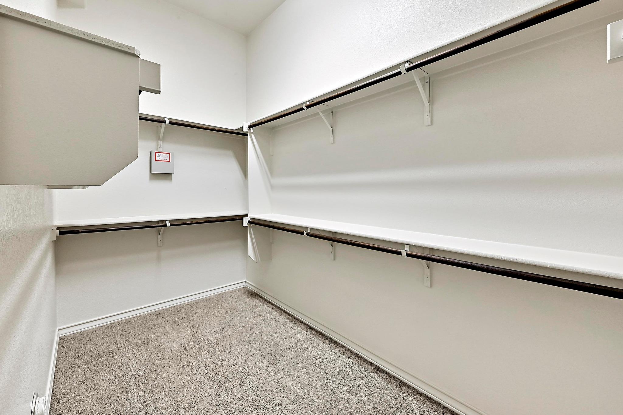 940 Purple Moor PASS