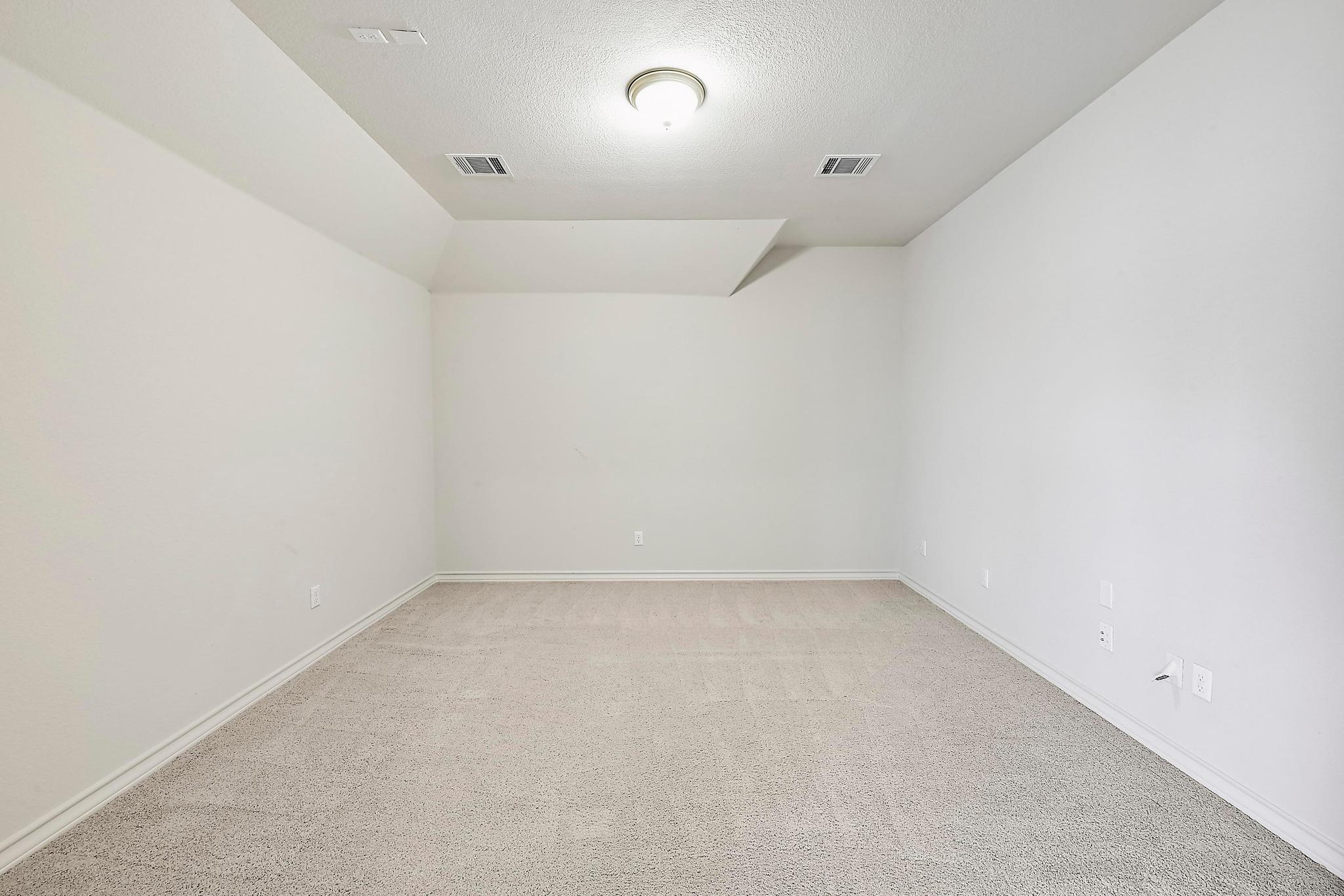 940 Purple Moor PASS