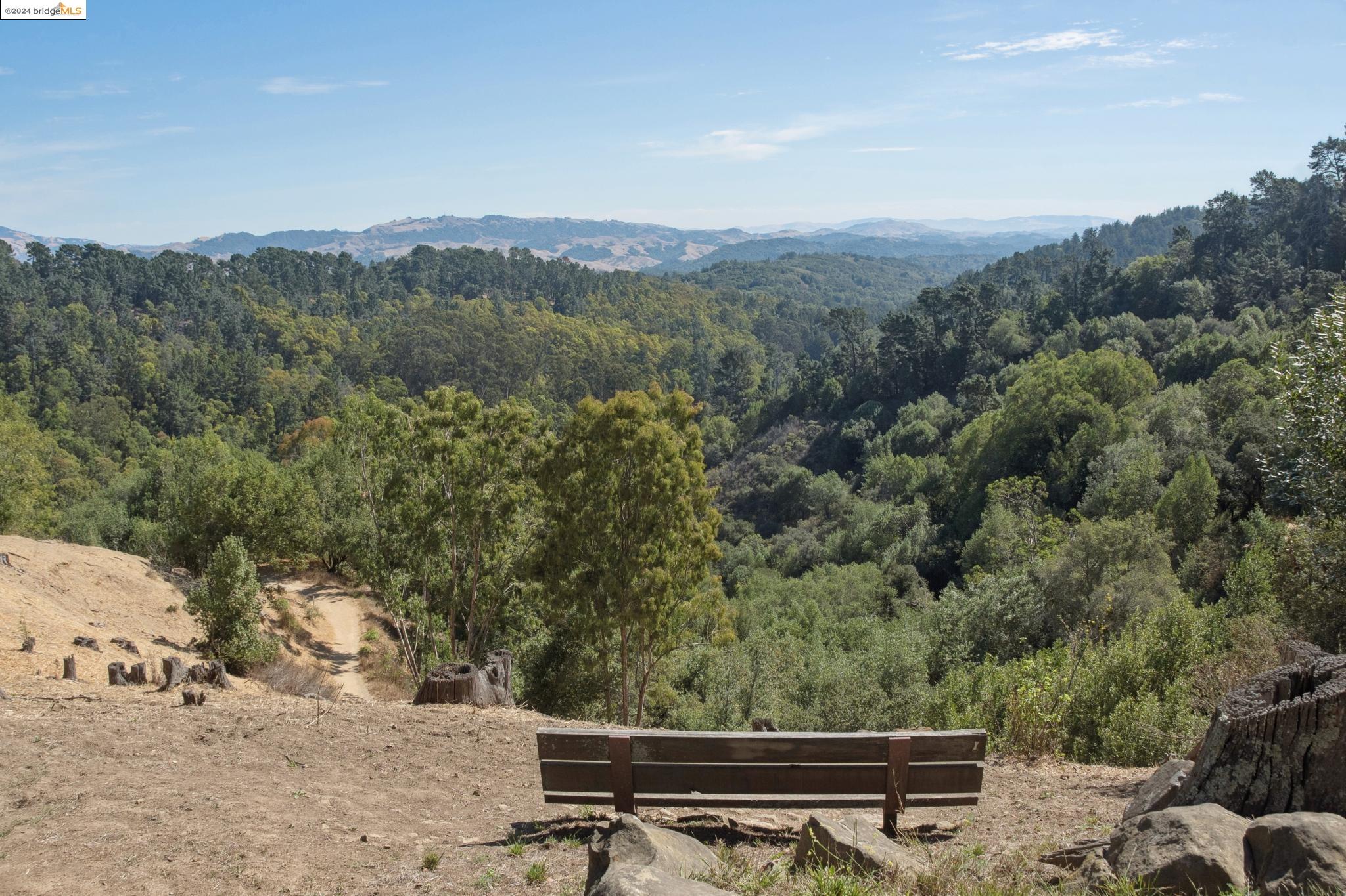7039 SHIRLEY DRIVE