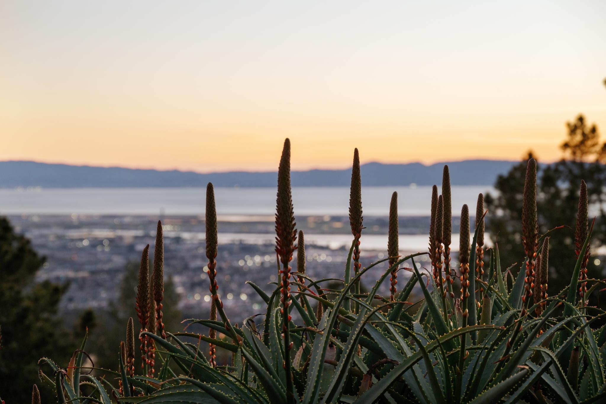 298 STANTONVILLE DRIVE