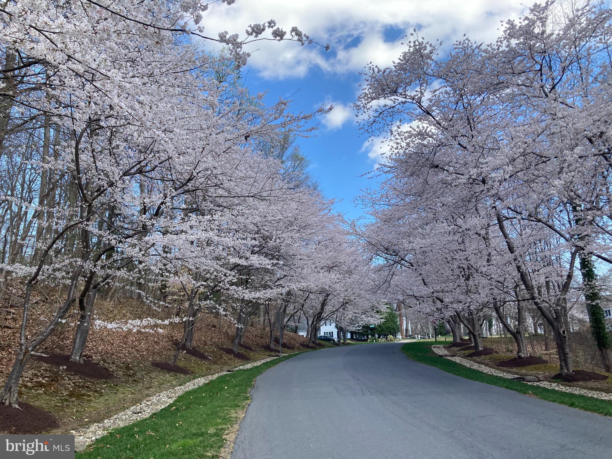 1603 Upton Scott Way