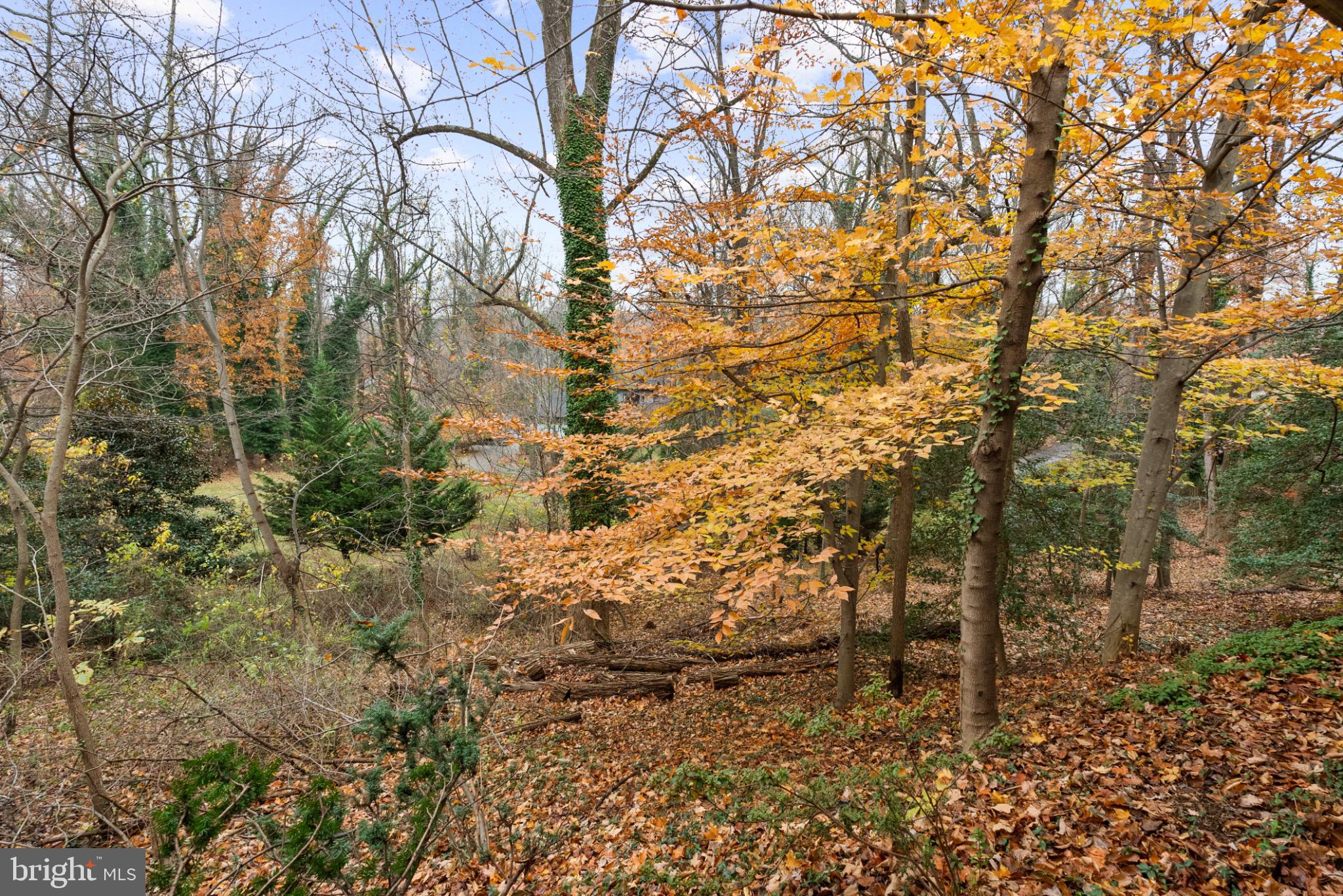 1800 SEVERN GROVE ROAD