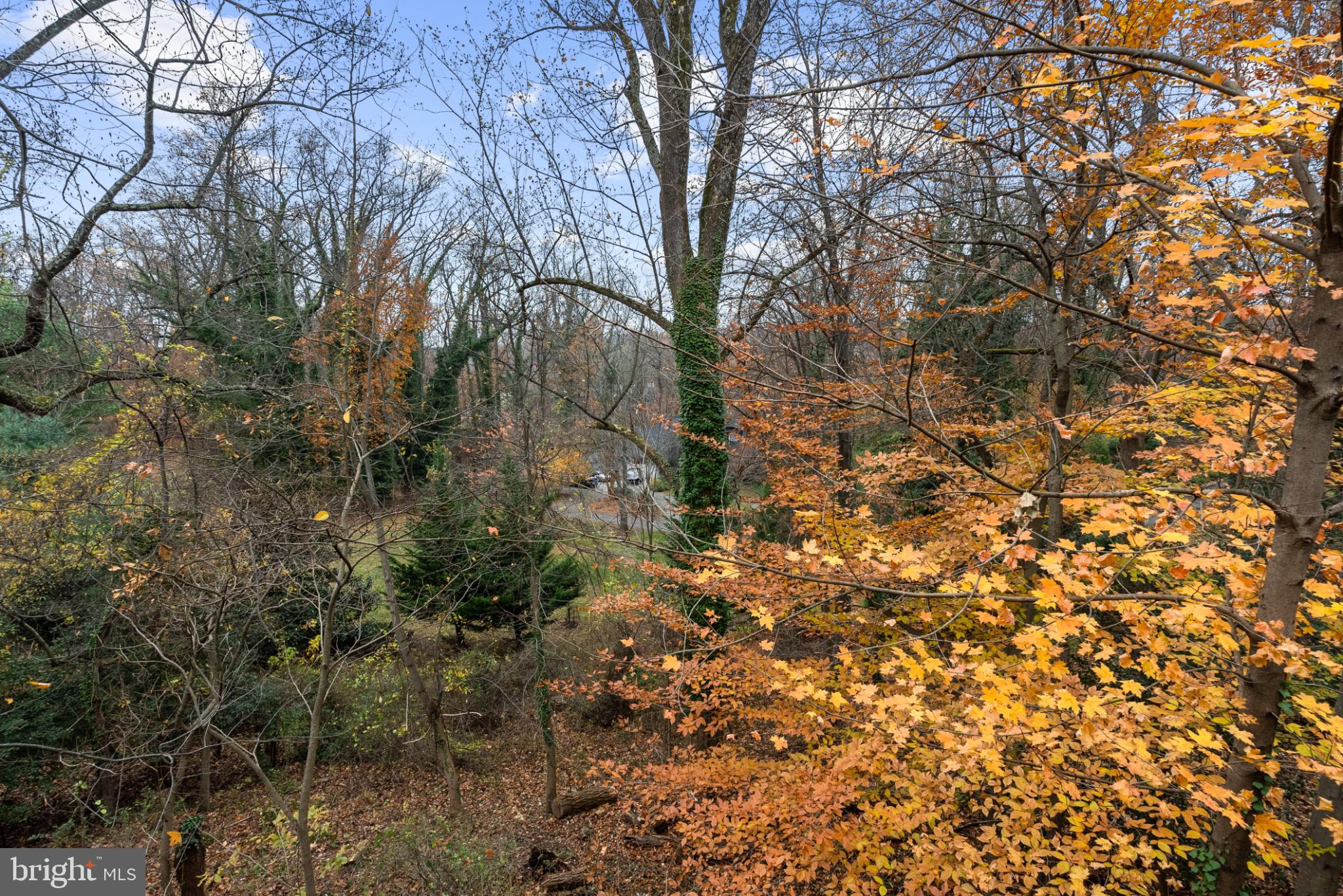 1800 SEVERN GROVE ROAD