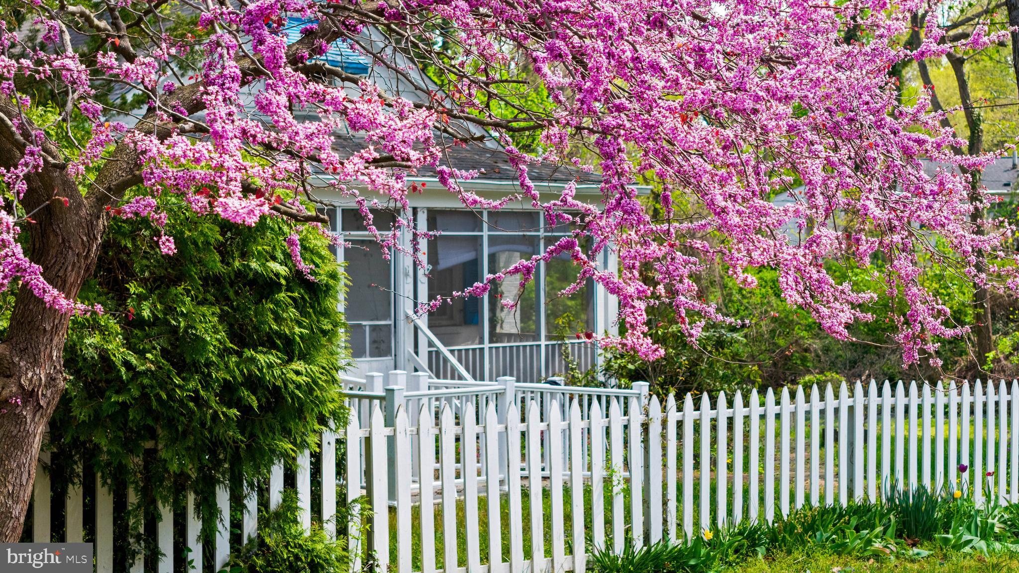 WEST ANNAPOLIS COTTAGE | 4 SHILEY STREET