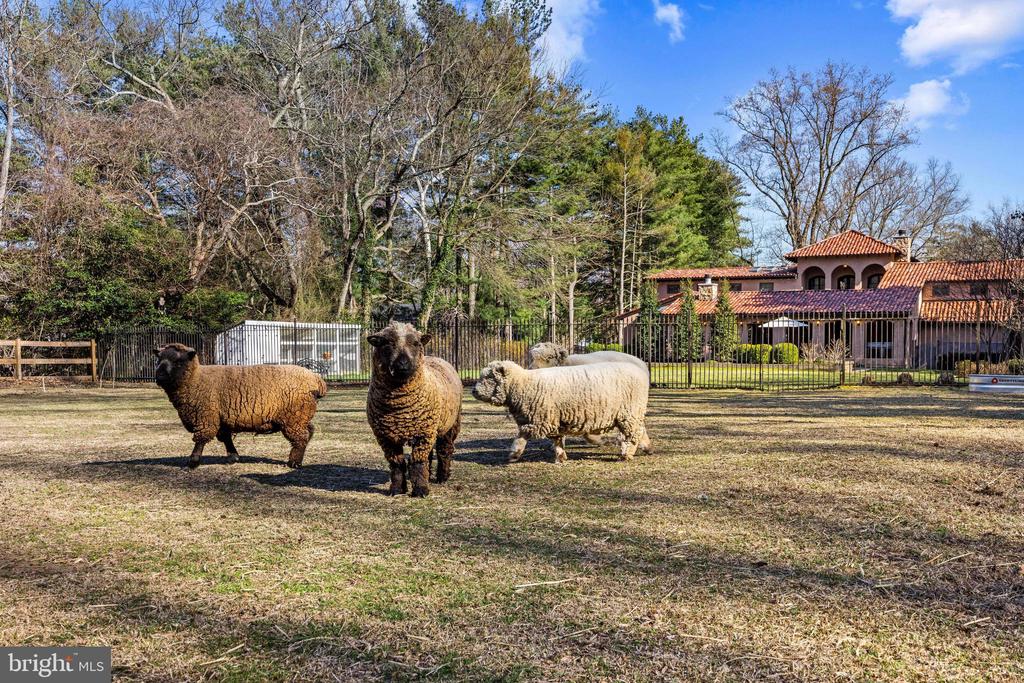 1344 TYDINGS ROAD