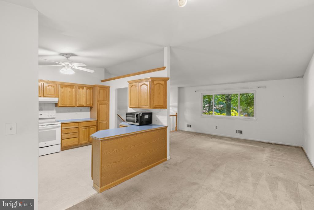 OVER AN ACRE IN DAVIDSONVILLE | 1282 LAVALL DRIVE