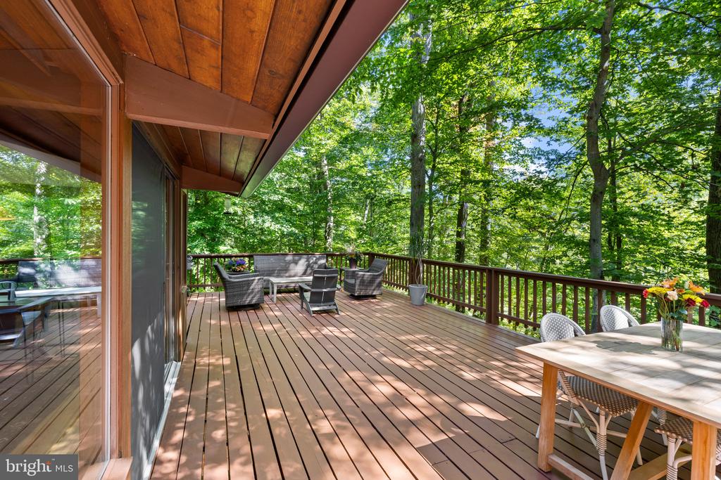 MID CENTURY MODERN IN THE DOWNS | 1707 TRINITY PLACE