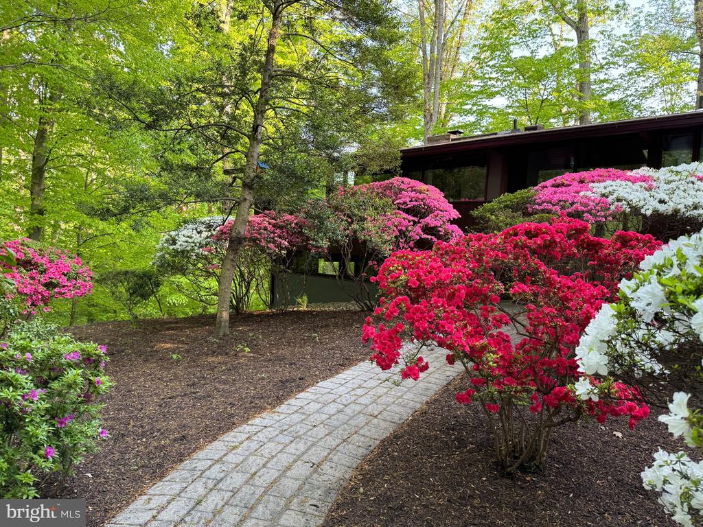 MID CENTURY MODERN IN THE DOWNS | 1707 TRINITY PLACE