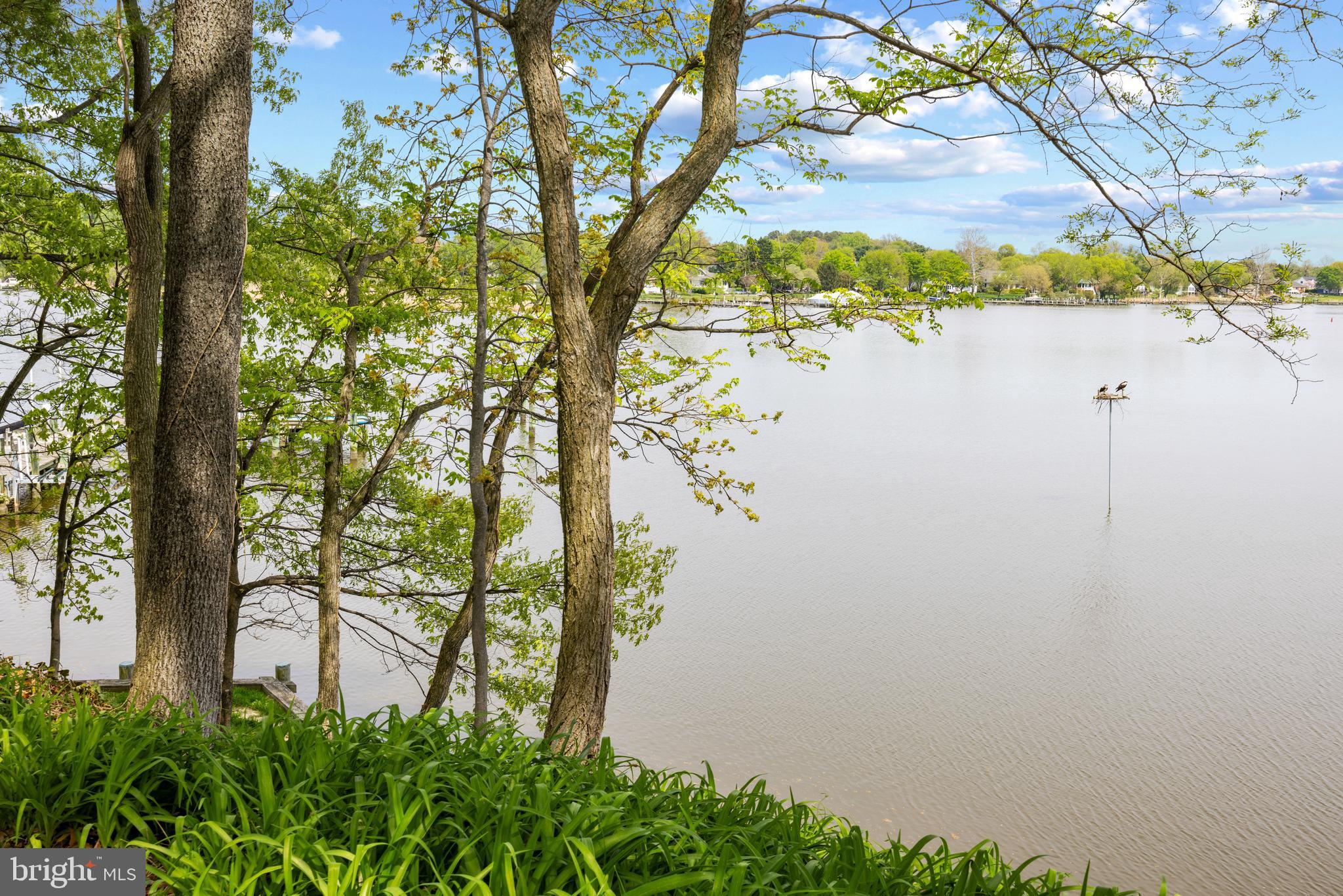 210 Corsica Point Ln