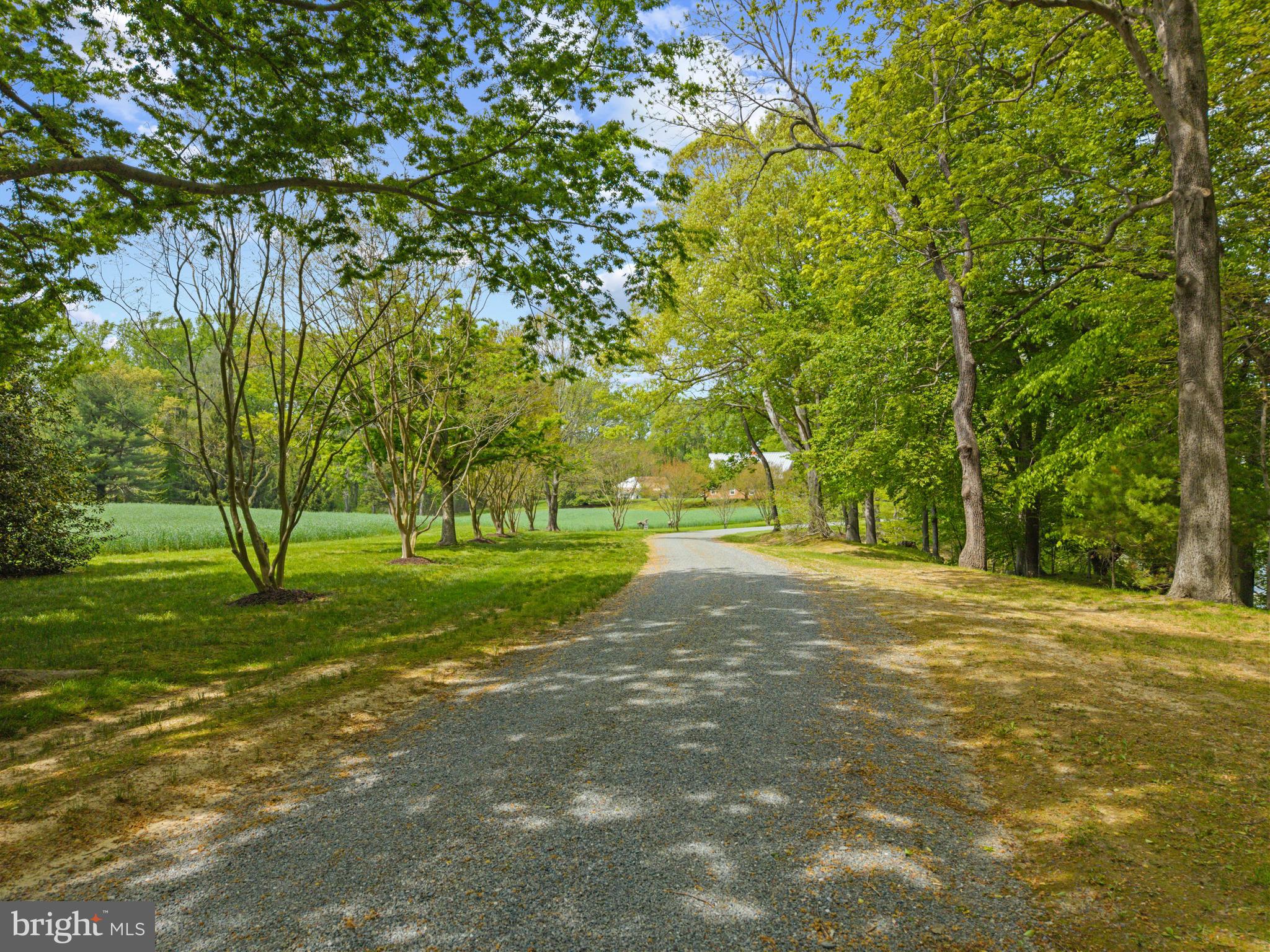 210 Corsica Point Ln