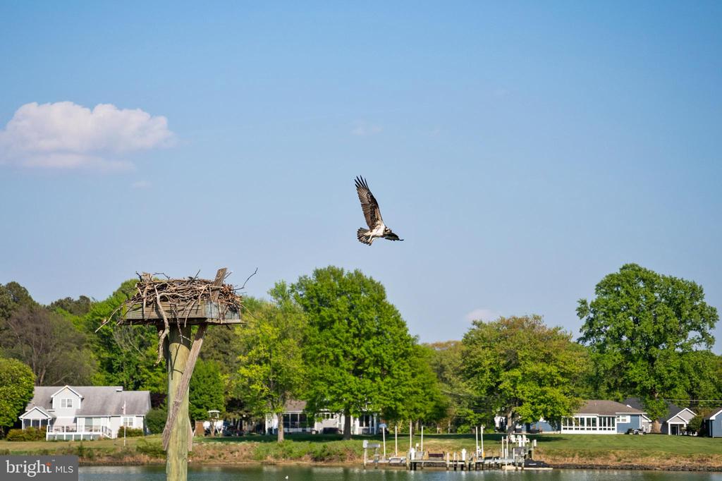 330 SERENITY LANE | CRAB ALLEY CREEK WATERFRONT
