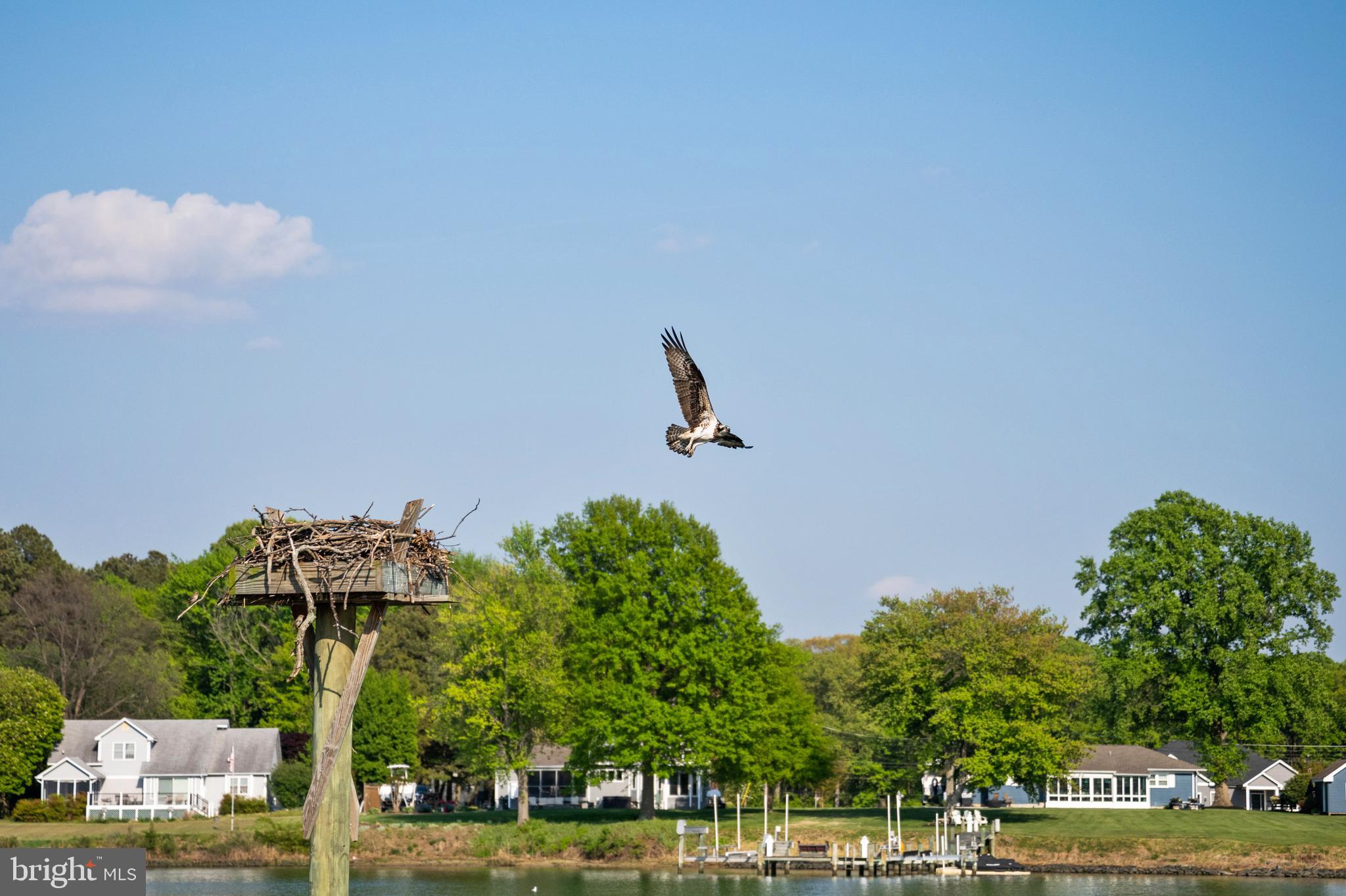 330 SERENITY LANE | CRAB ALLEY CREEK WATERFRONT