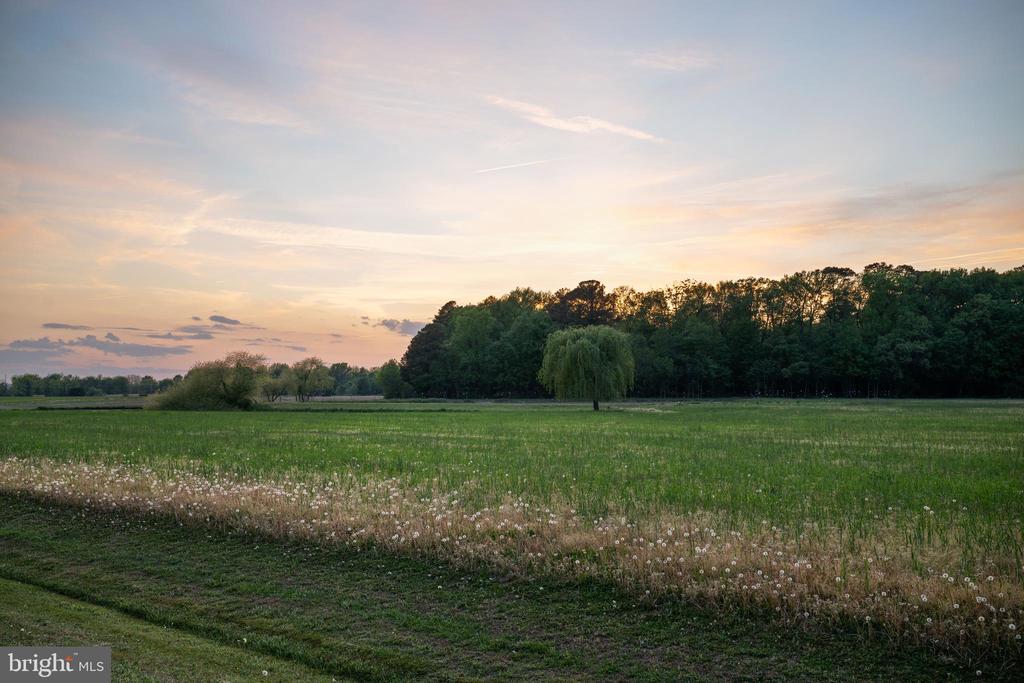 330 SERENITY LANE | CRAB ALLEY CREEK WATERFRONT