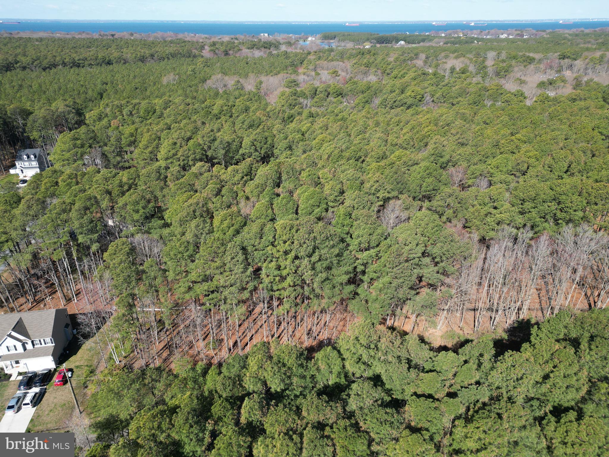 KENT ISLAND LAND FOR SALE | 138 OLIVE BRANCH ROAD