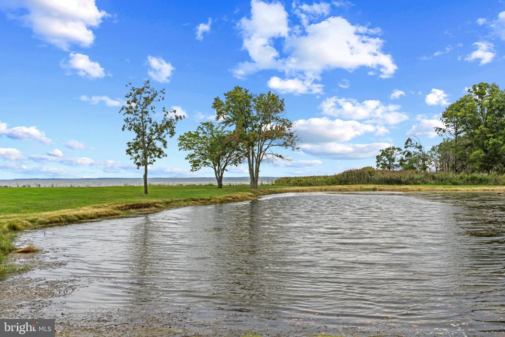 EASTERN SHORE WATERFRONT ESTATE - STEVENSVILLE | 450 SEASCAPE LANE
