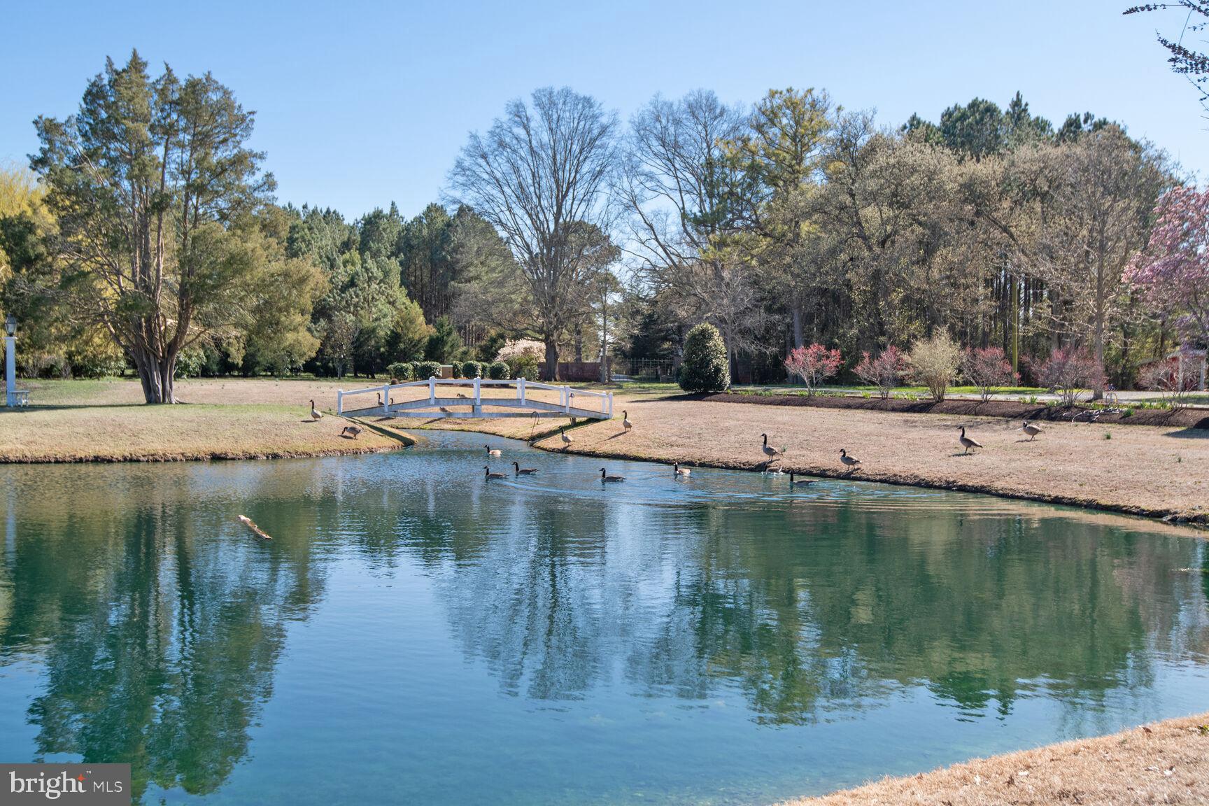 5808 Widgeon Point Ln