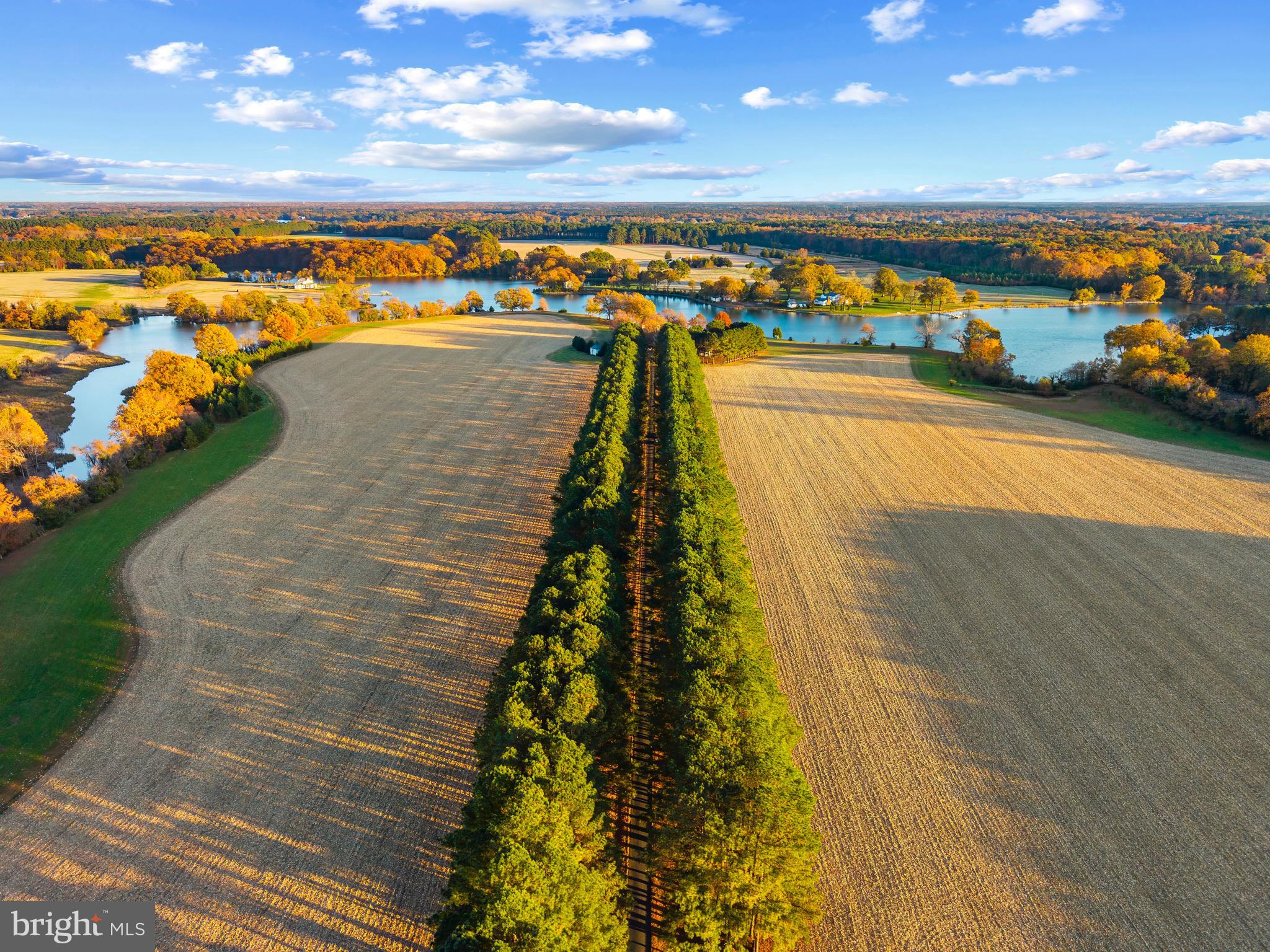 EASTON - EASTERN SHORE ESTATE | 9170 HUNTING CREEK LANE