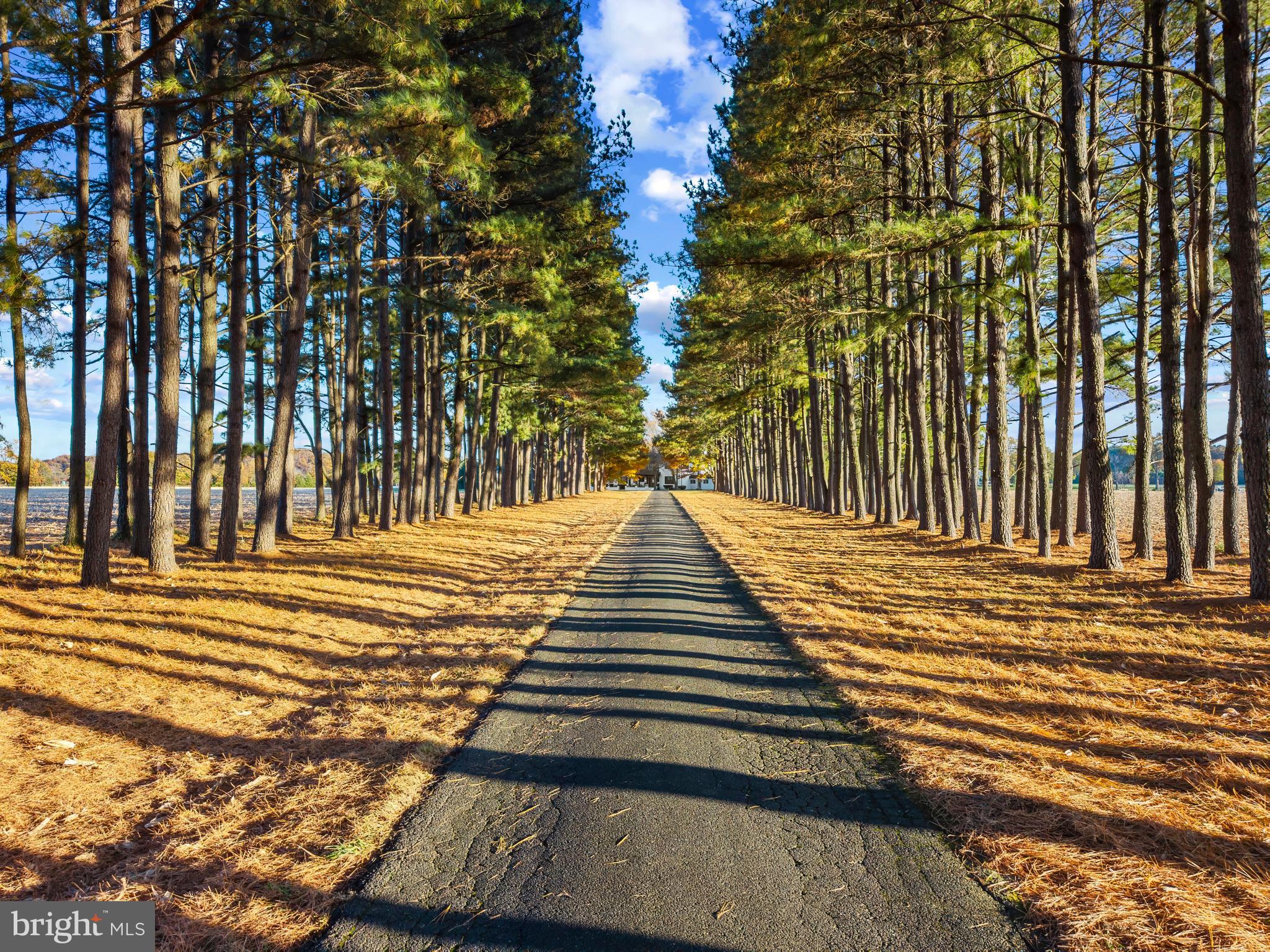 EASTON - EASTERN SHORE ESTATE | 9170 HUNTING CREEK LANE