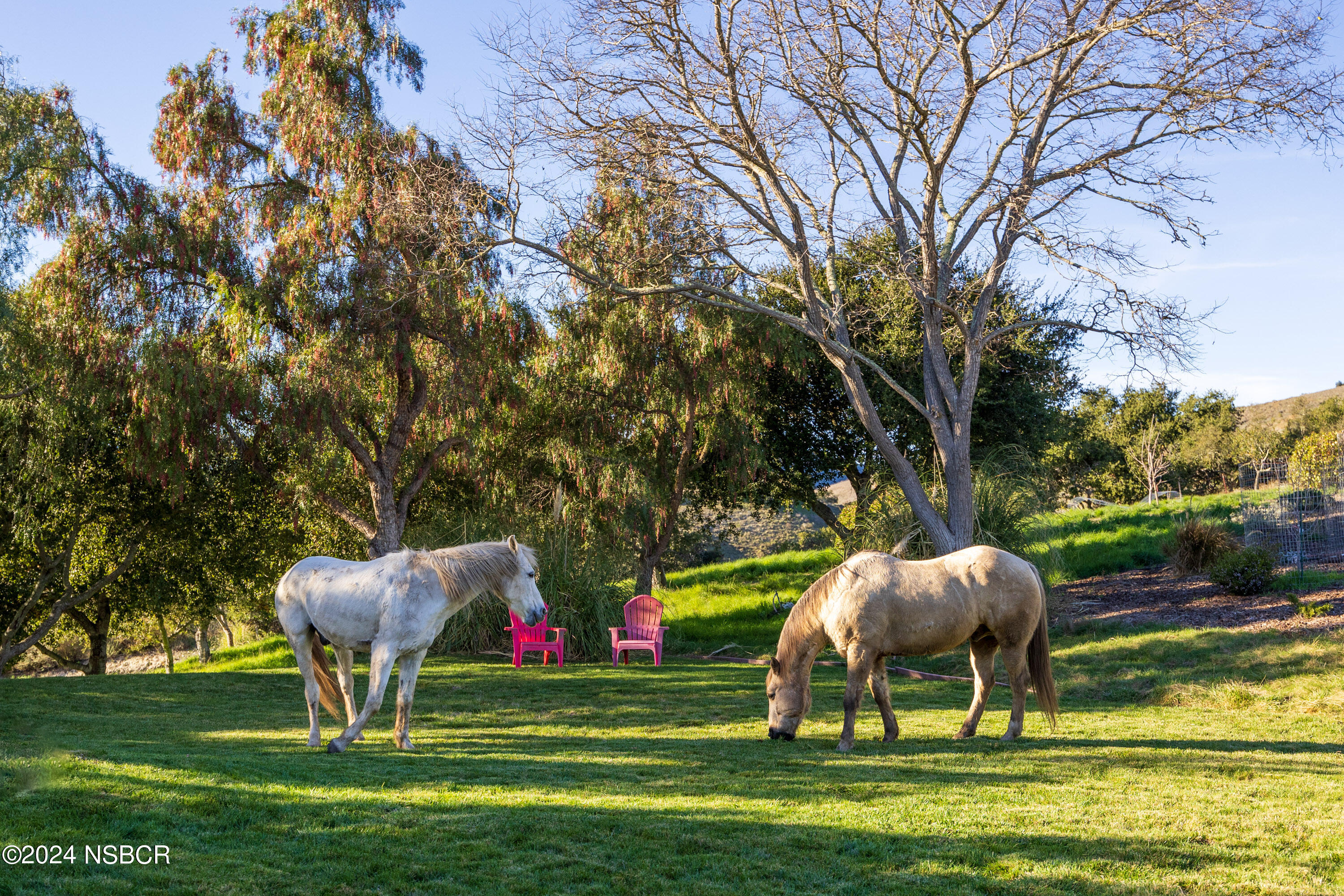 1799 Cougar Ridge Road