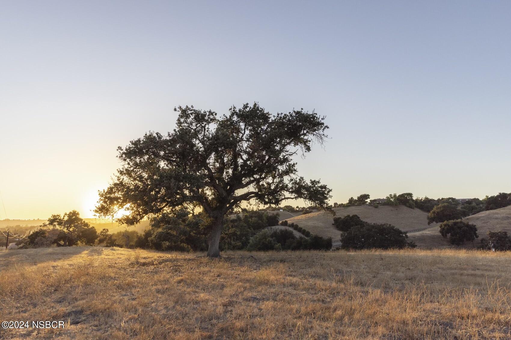 2450 Long Canyon Road