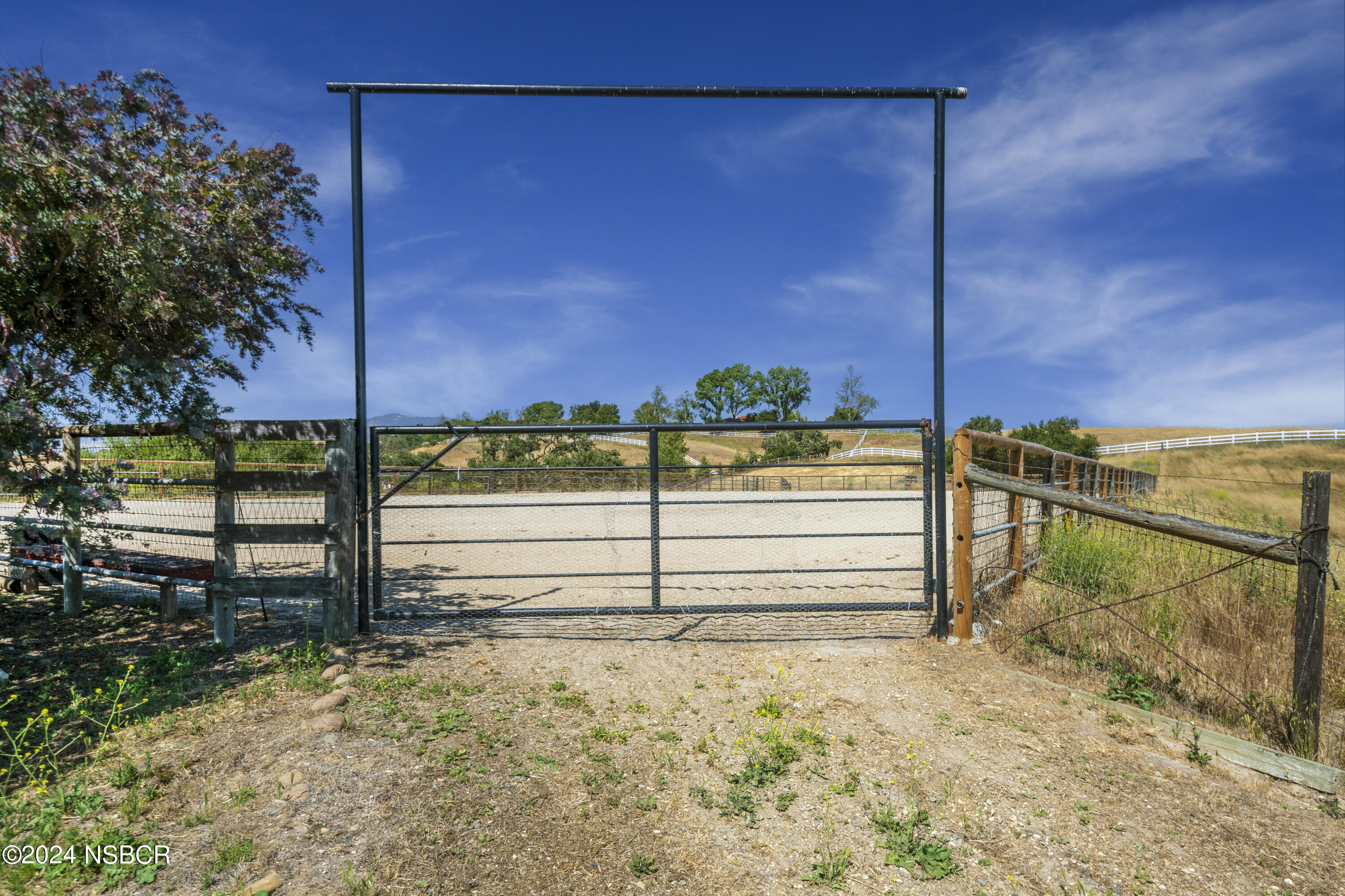 2450 Long Canyon Road