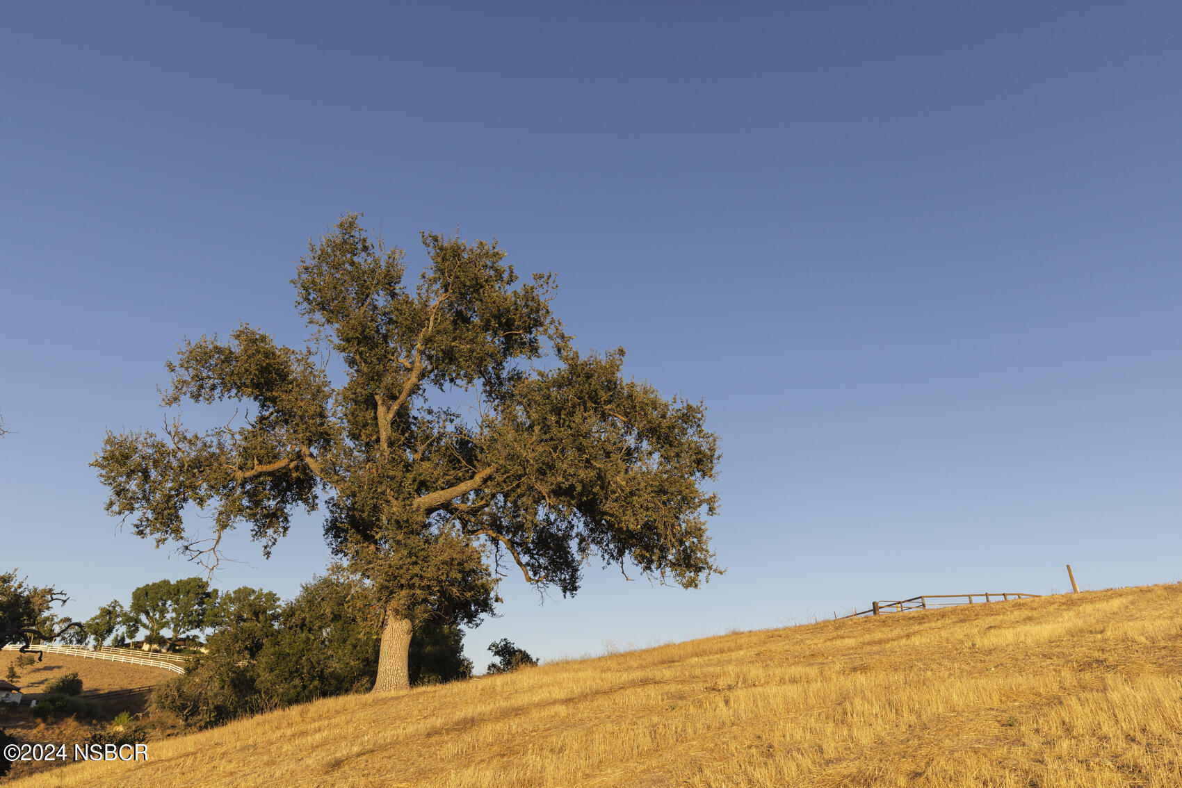 2450 Long Canyon Road