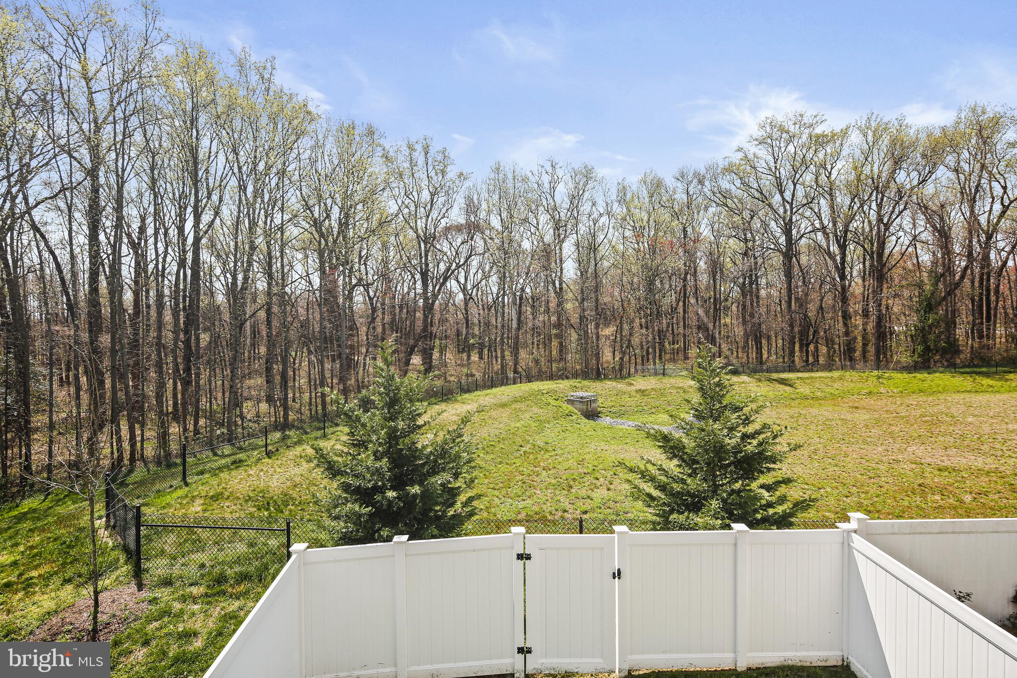 924 Morgan Run Rd