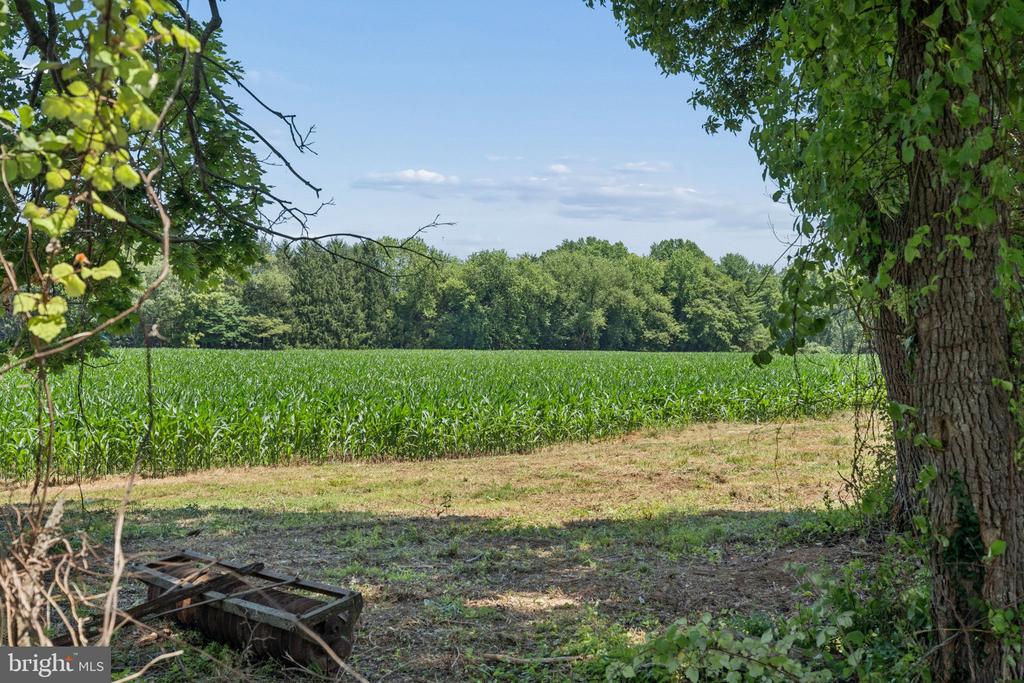 7219 NEW CUT ROAD