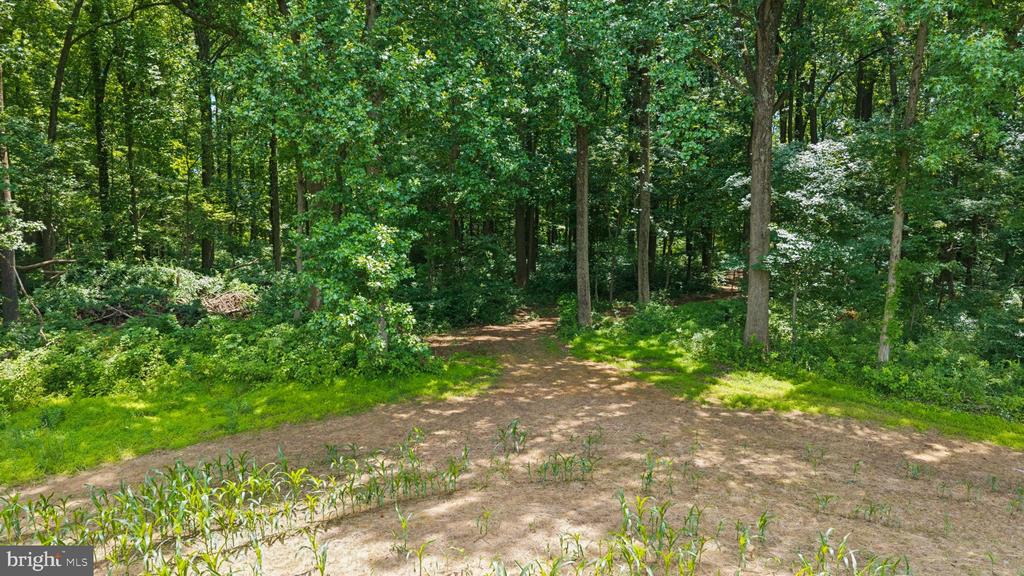 7219 NEW CUT ROAD