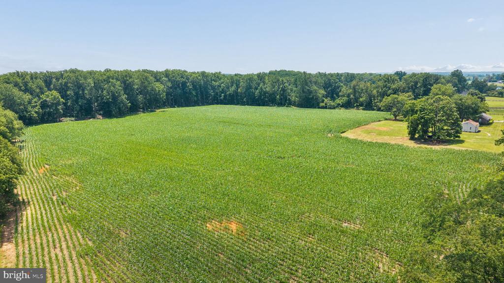 7219 NEW CUT ROAD
