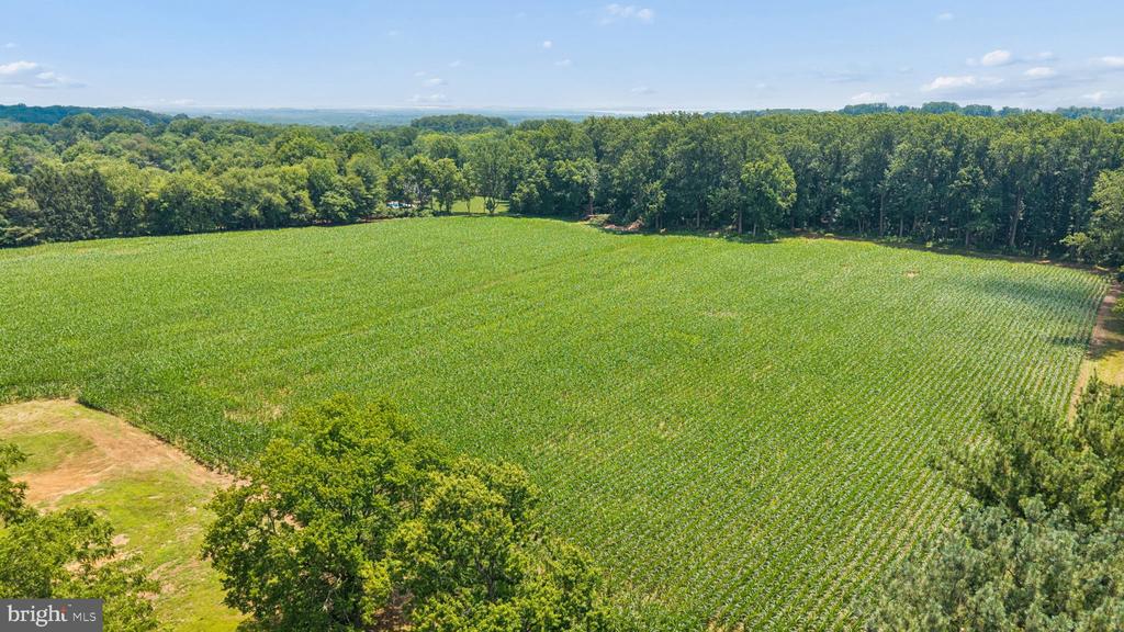 7219 NEW CUT ROAD